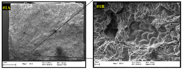 Applsci 08 01113 i001