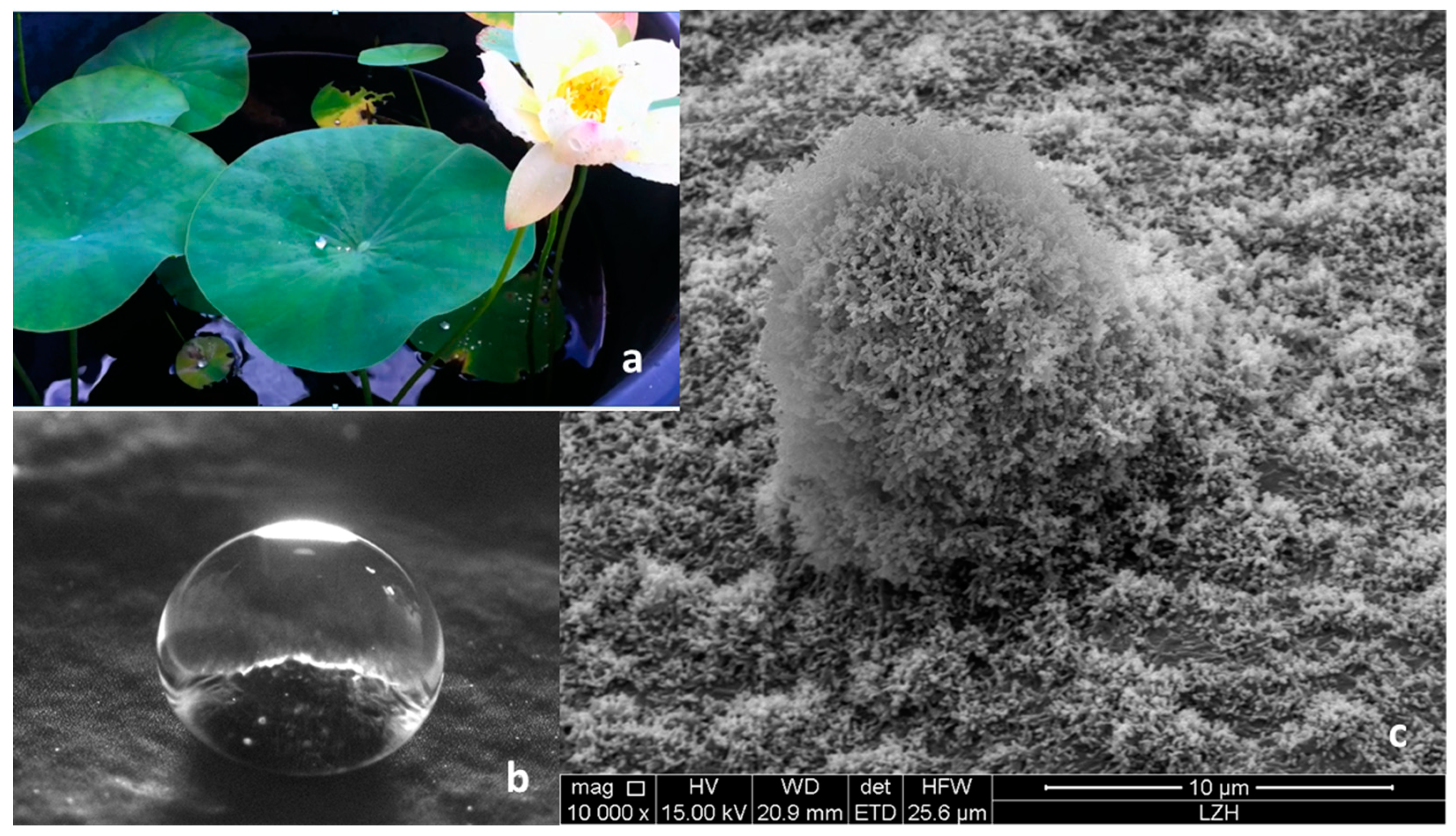 Applsci 08 01424 g007