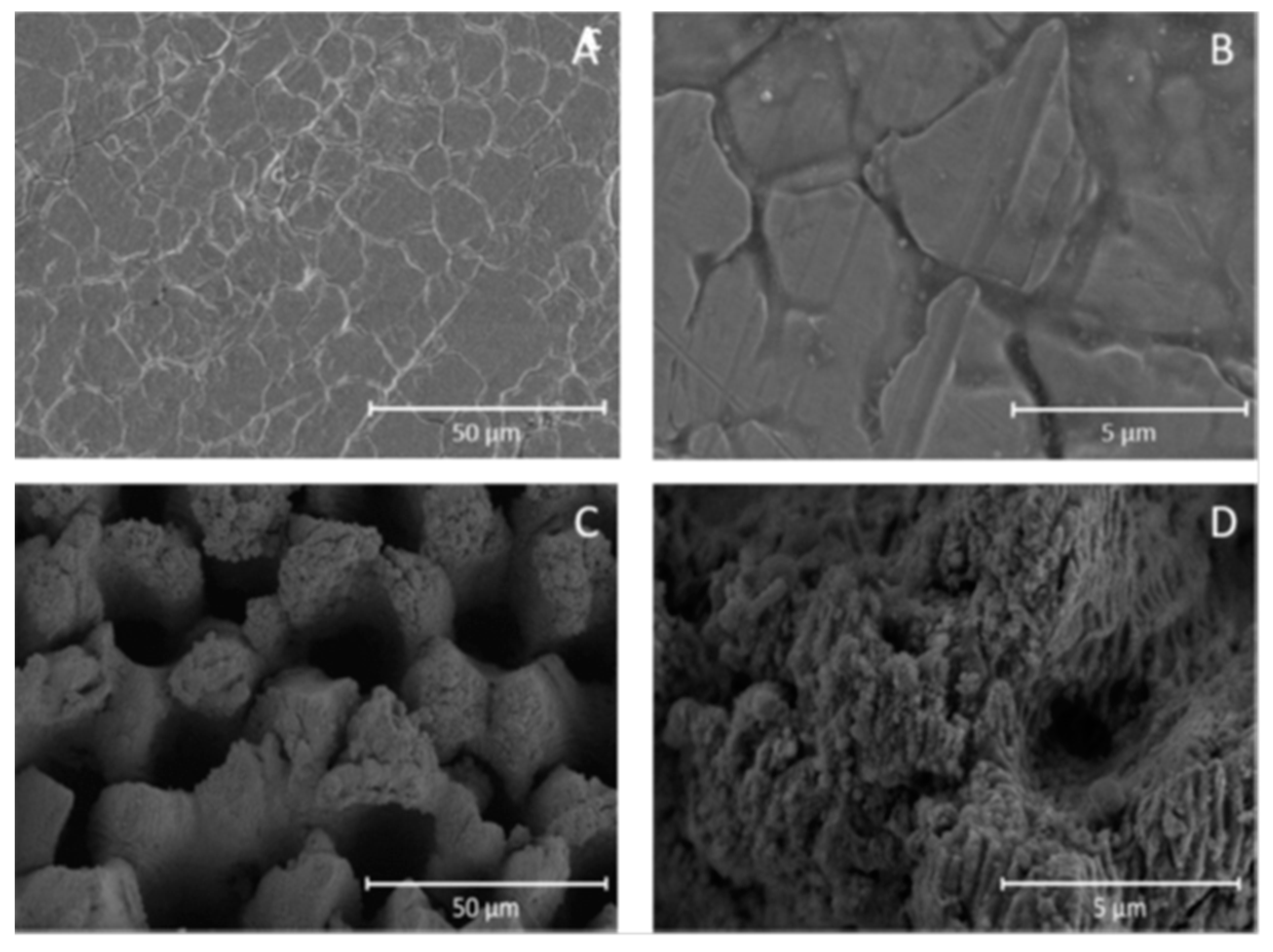 Applsci 08 01424 g011