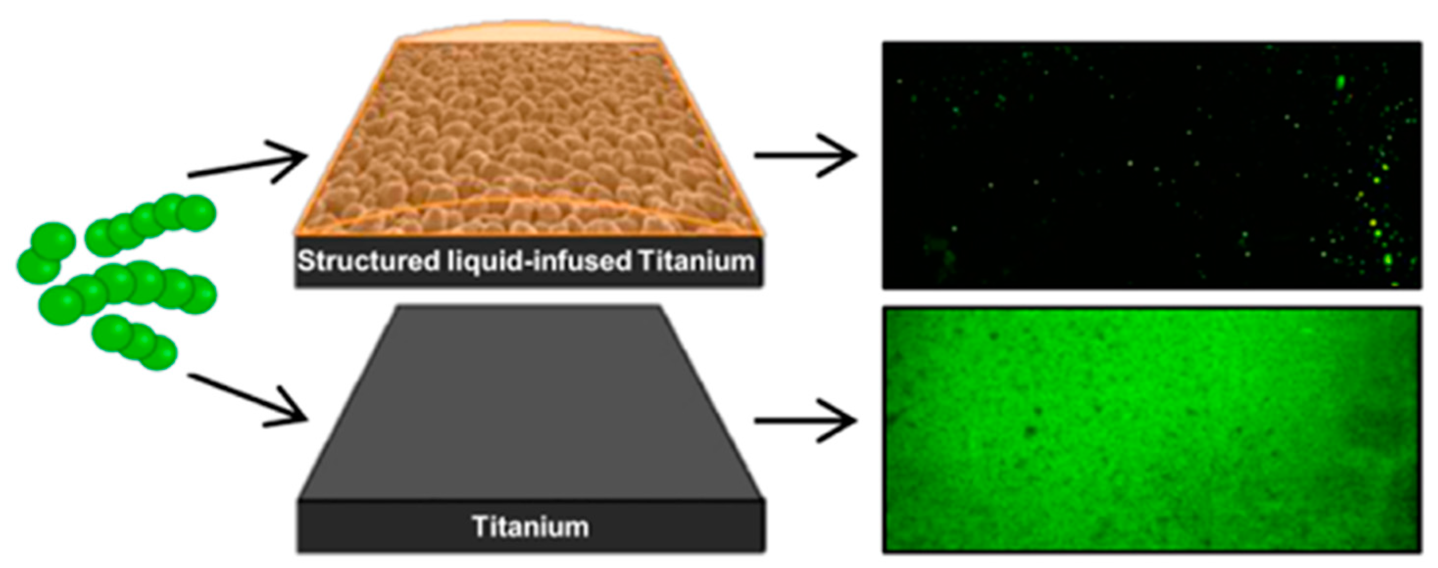 Applsci 08 01424 g013