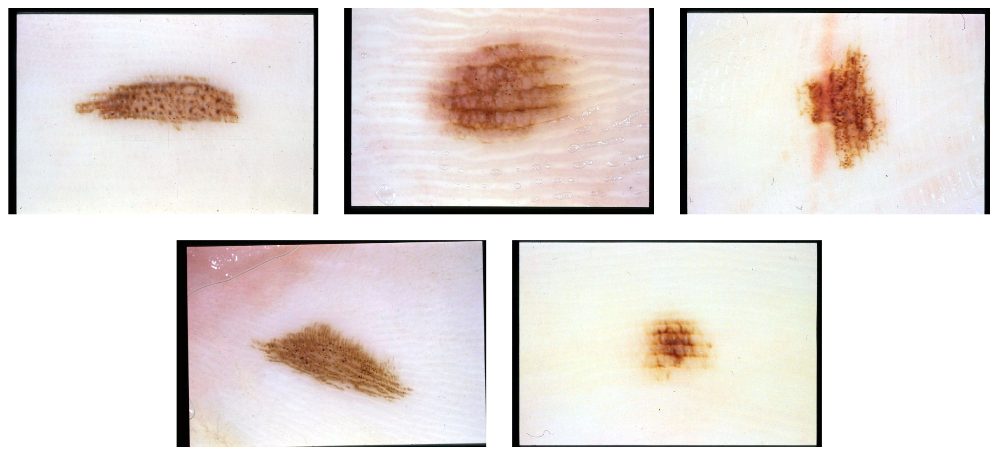 Applsci 08 01430 g007