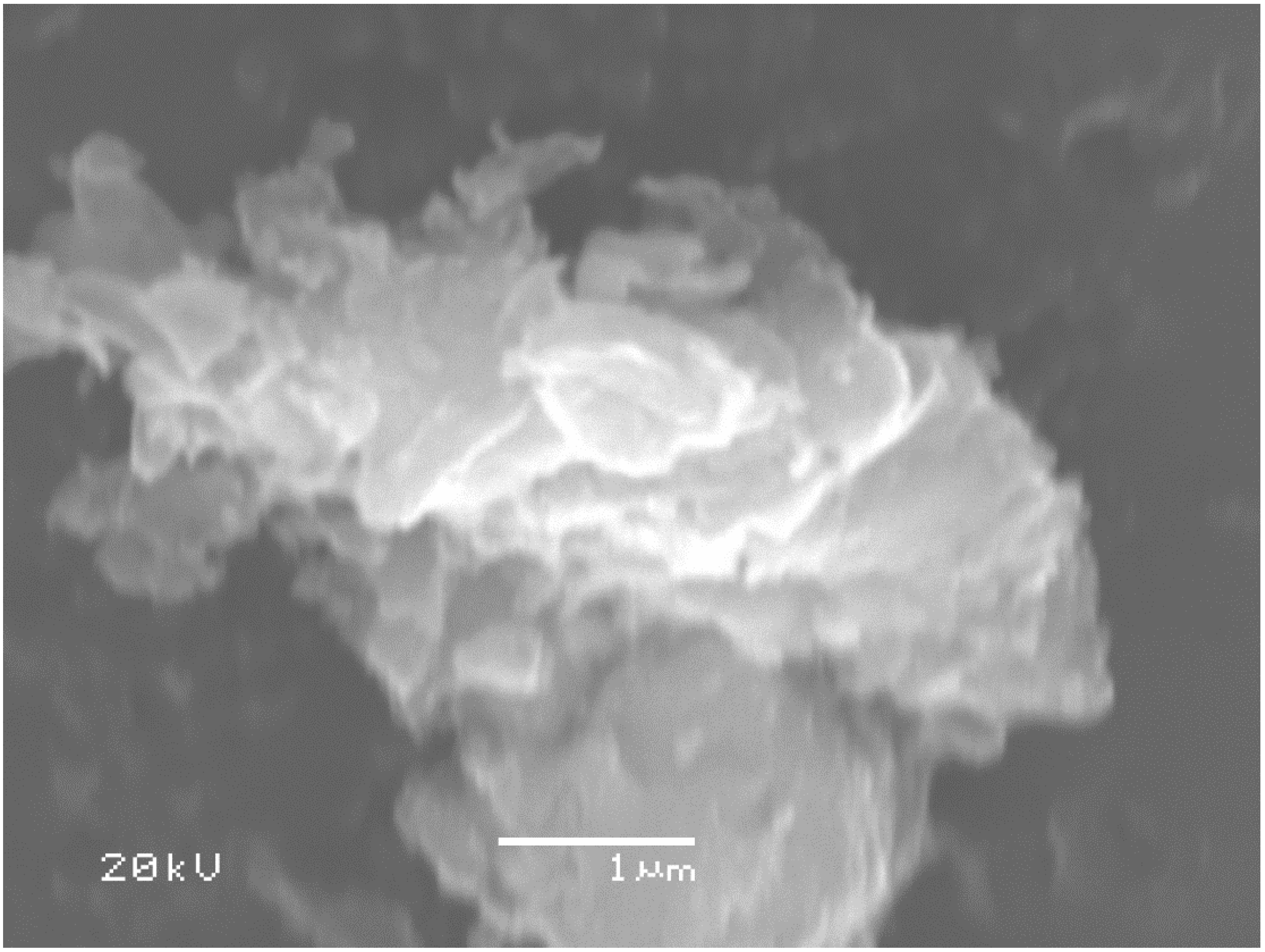 Applsci 08 01469 g003