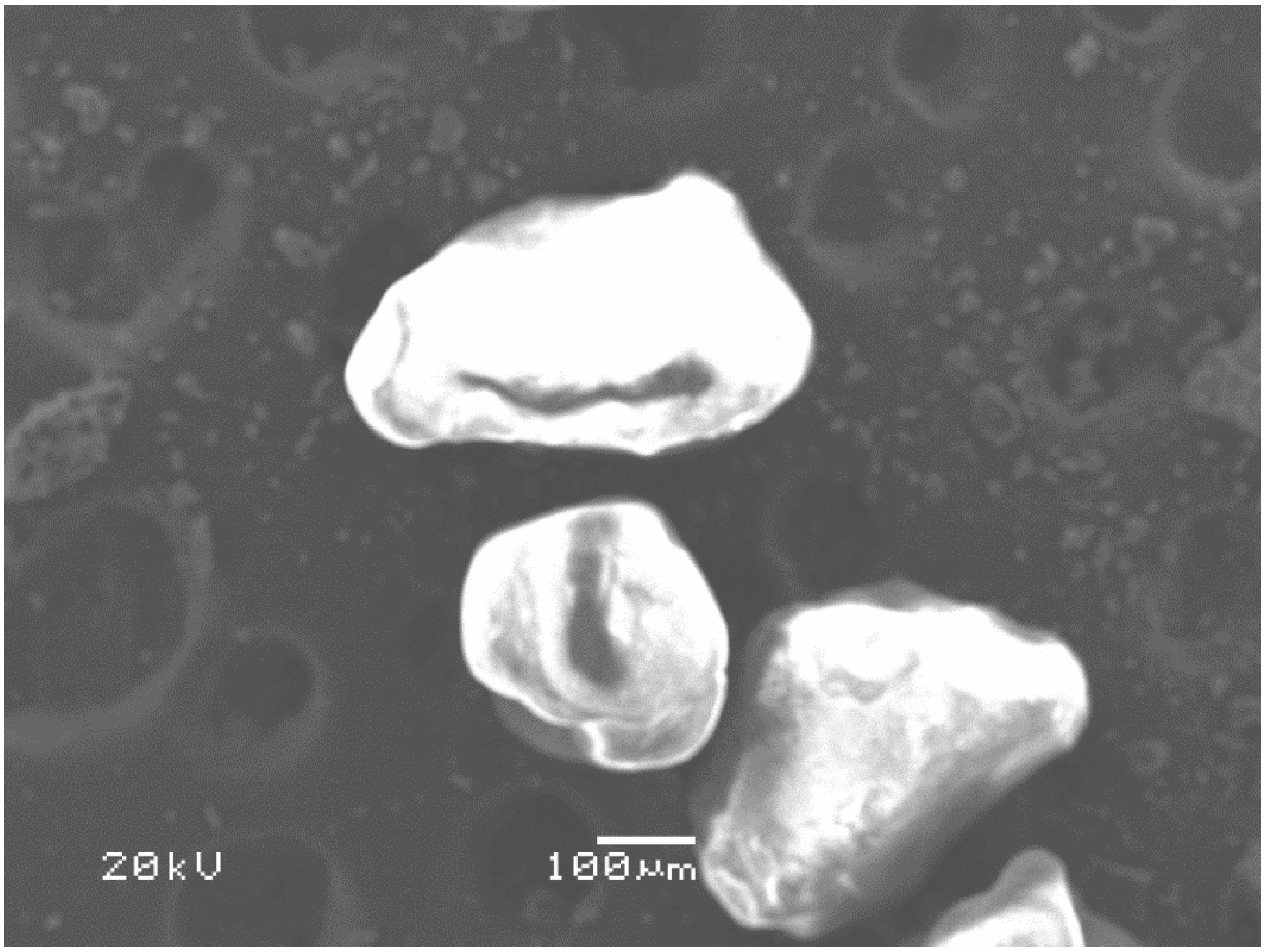 Applsci 08 01469 g005