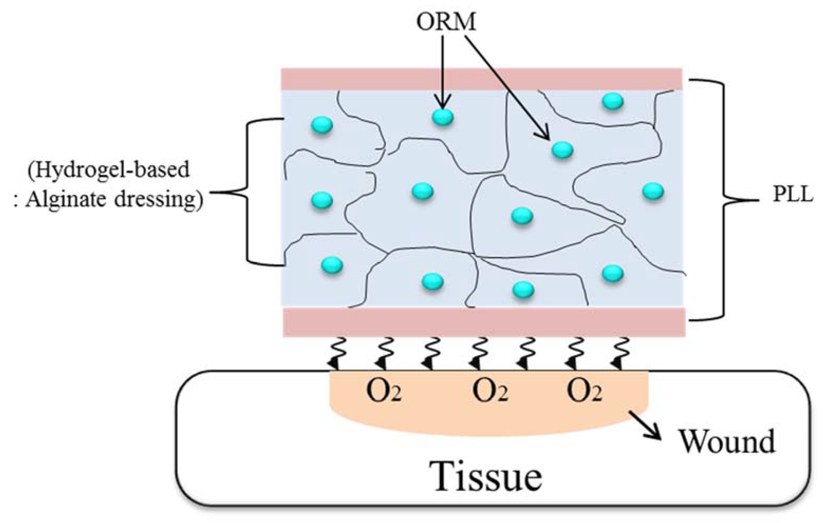 Applsci 08 01492 g001