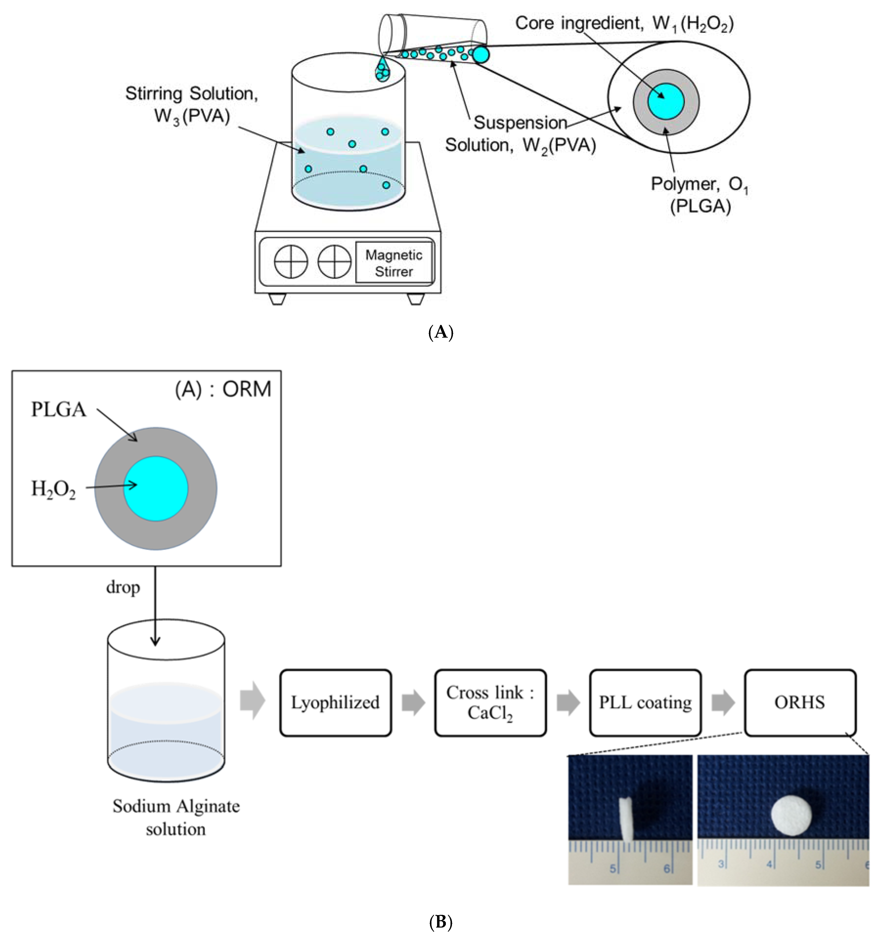 Applsci 08 01492 g002