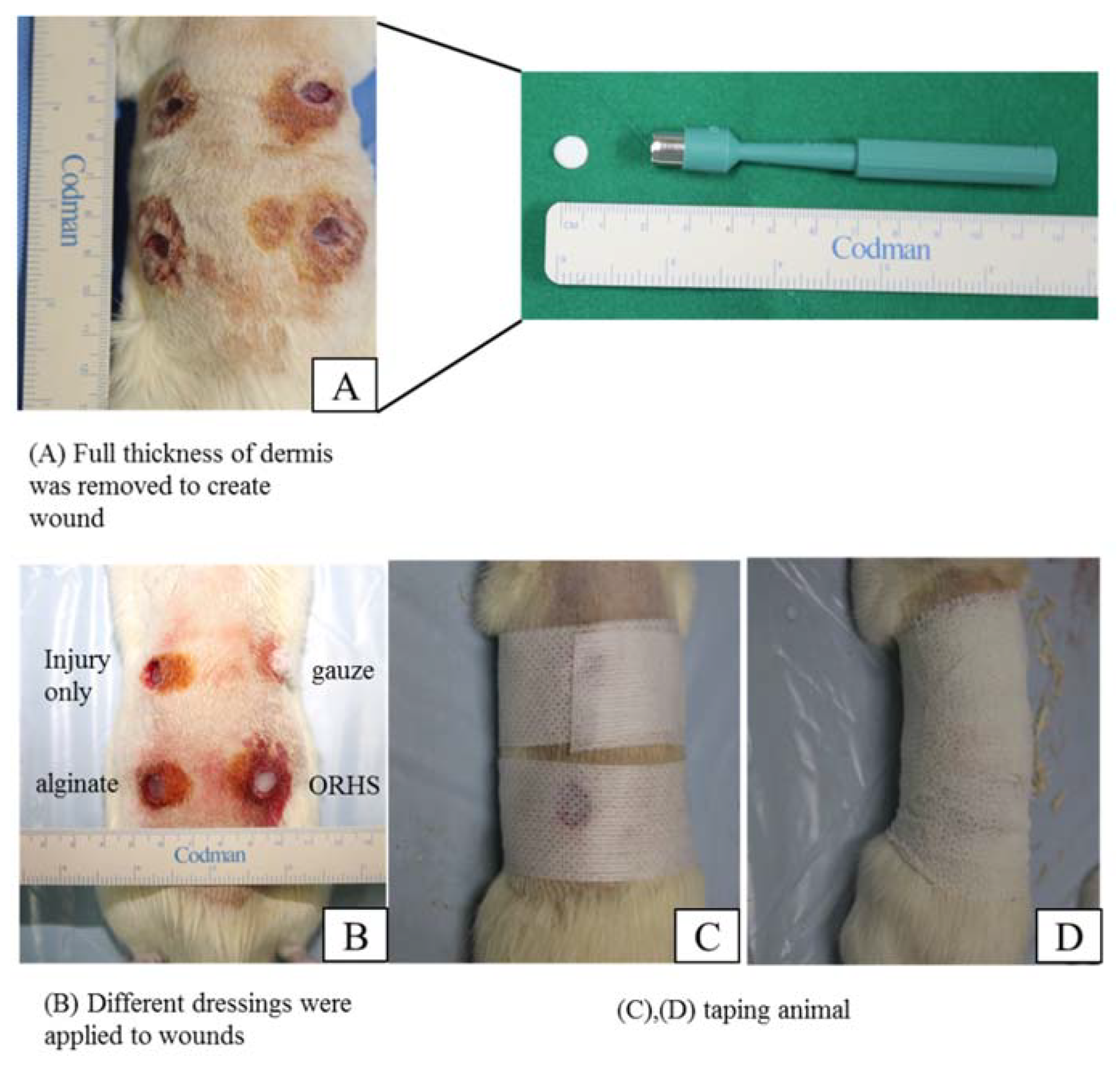 Applsci 08 01492 g003