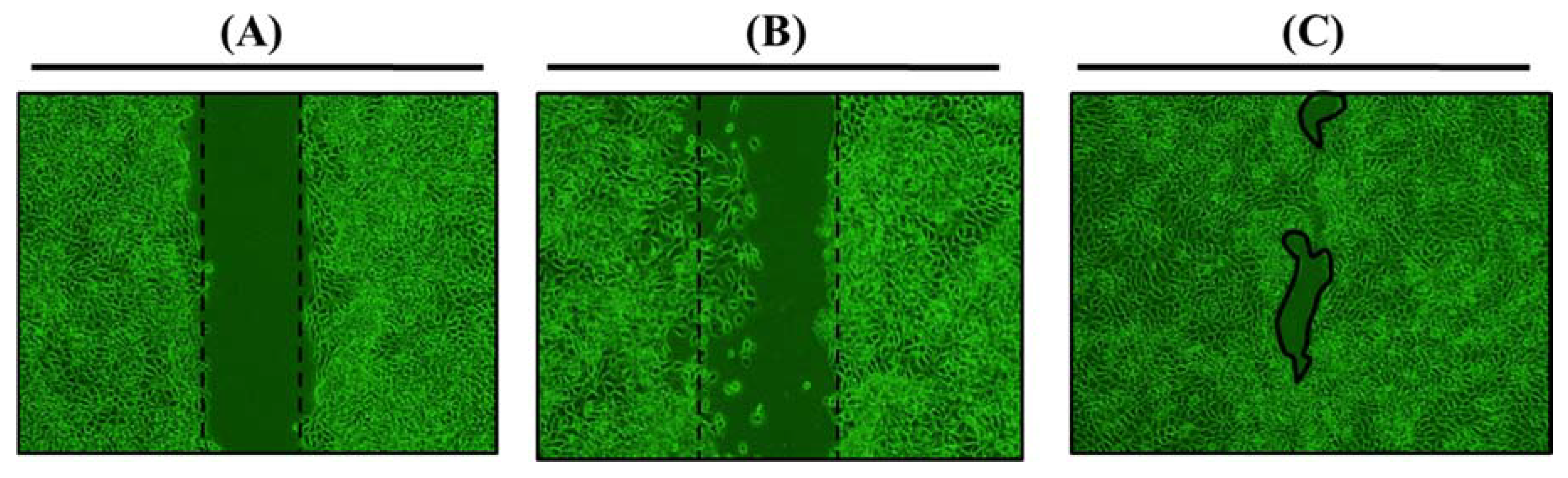Applsci 08 01492 g007