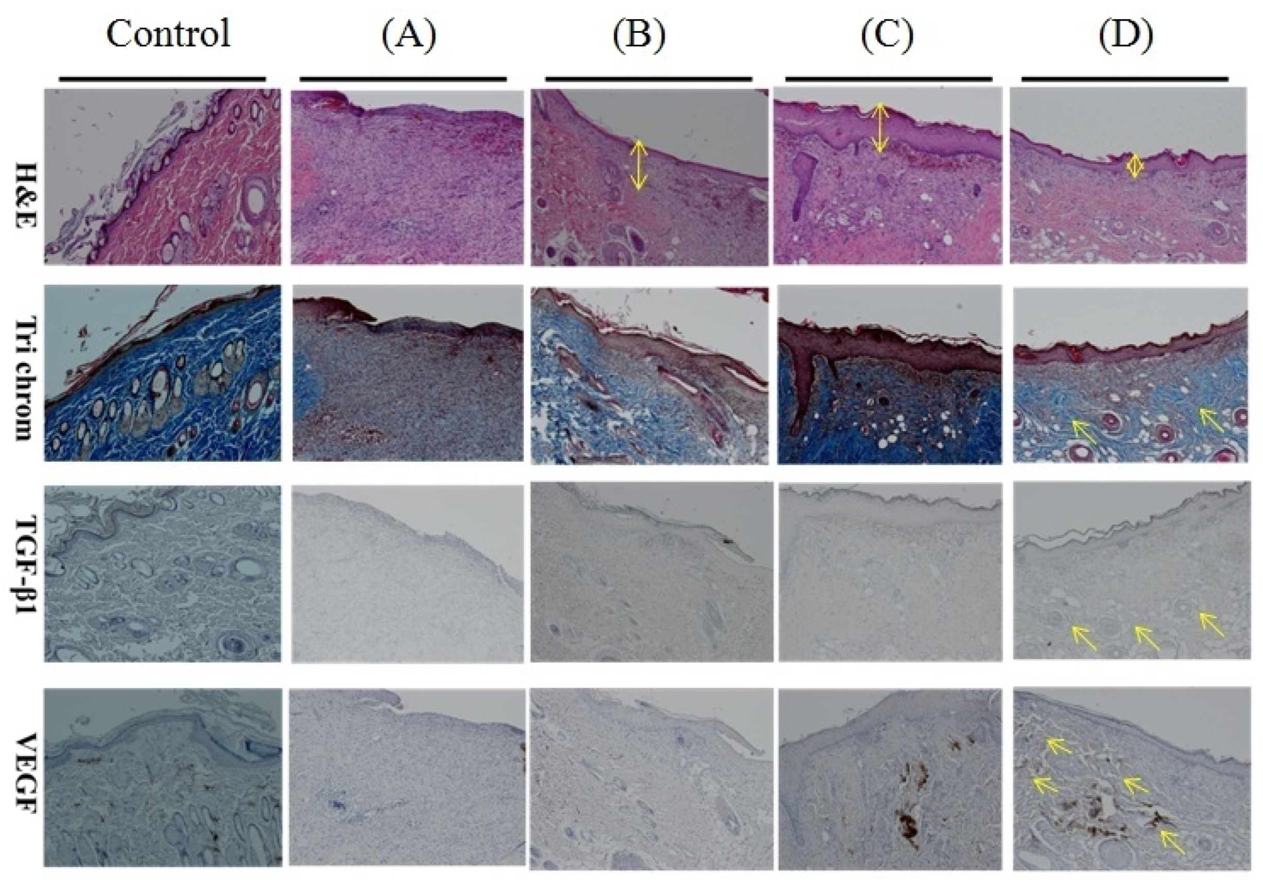 Applsci 08 01492 g009