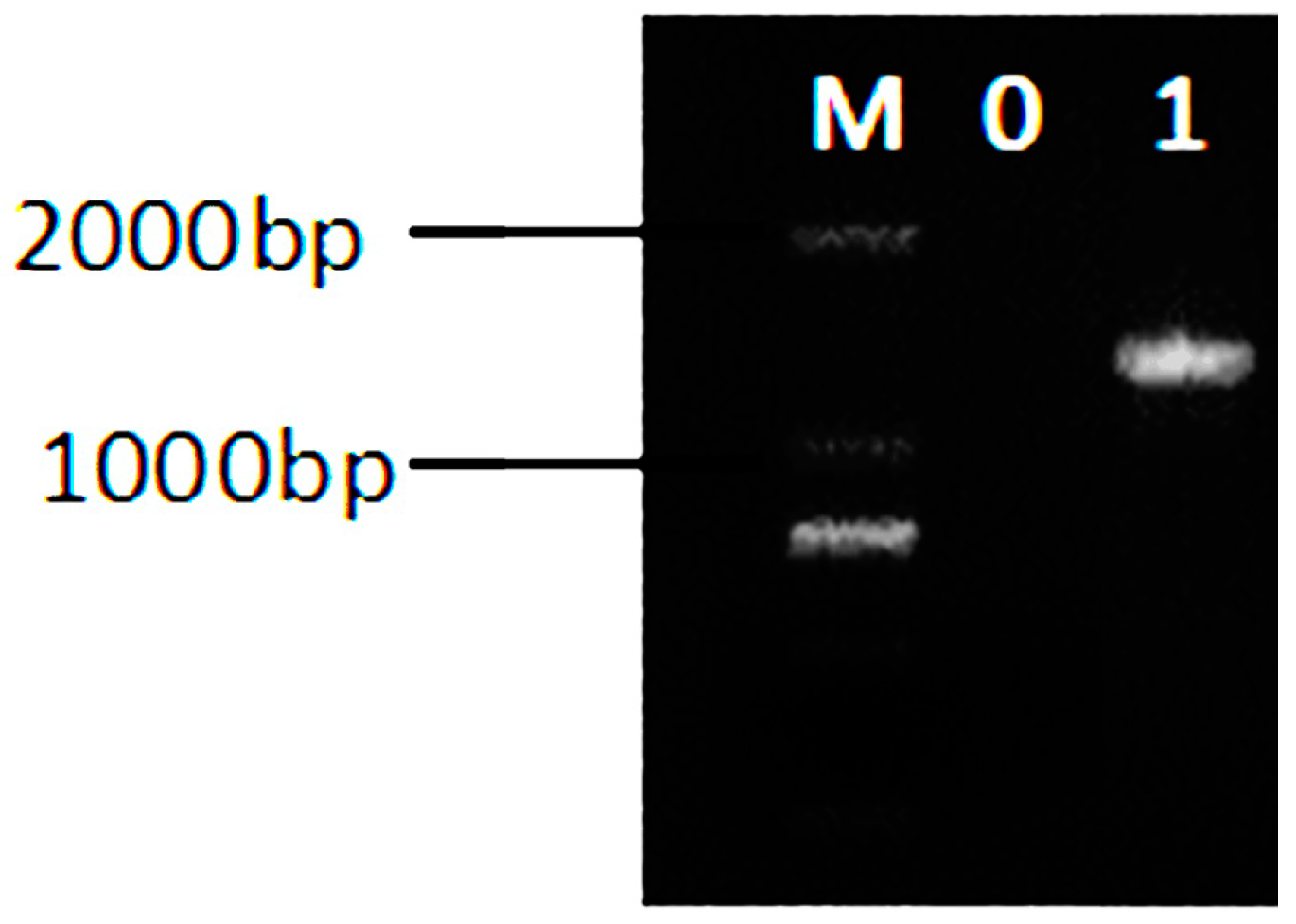 Applsci 08 01498 g001