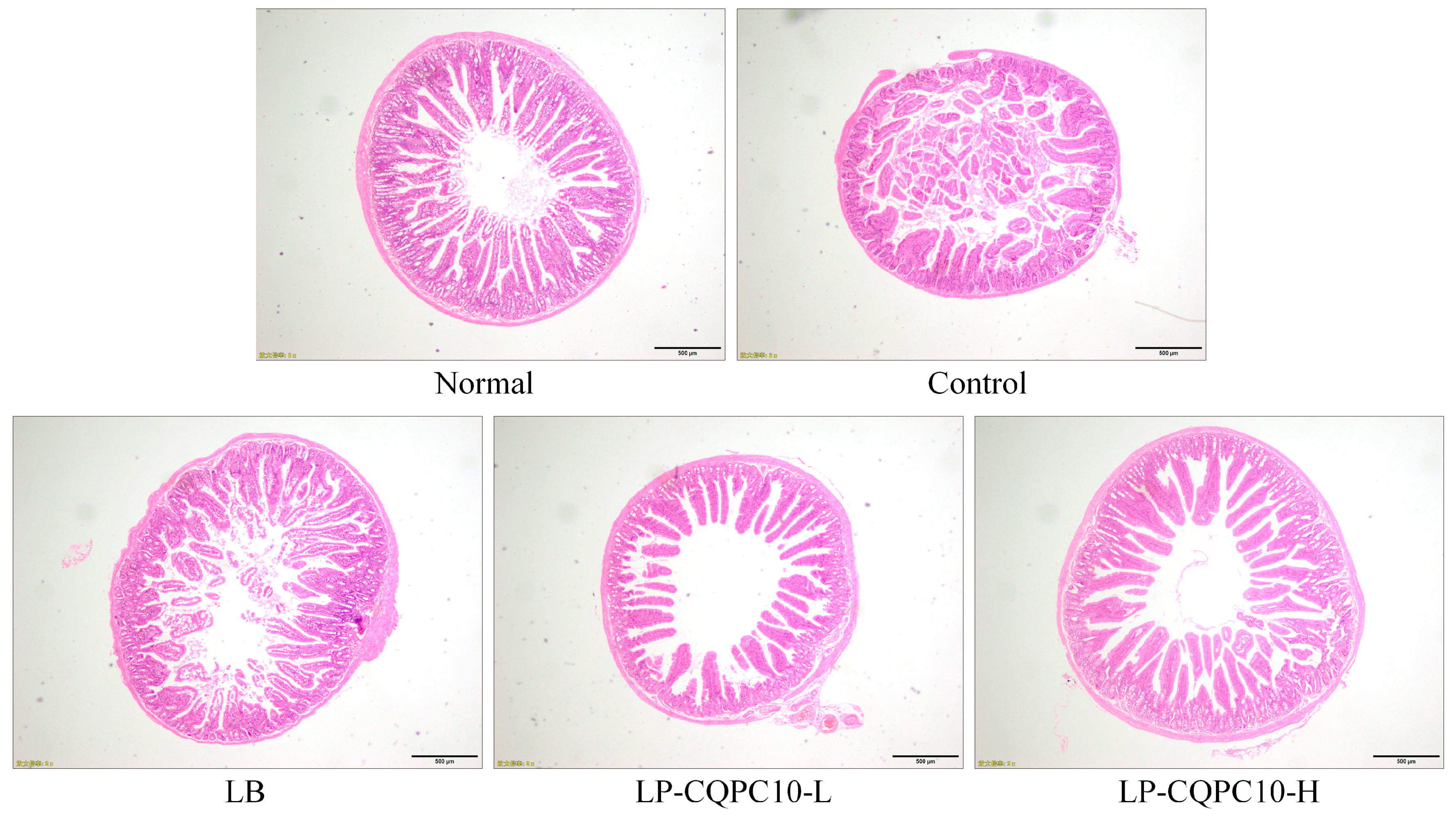 Applsci 08 01498 g003