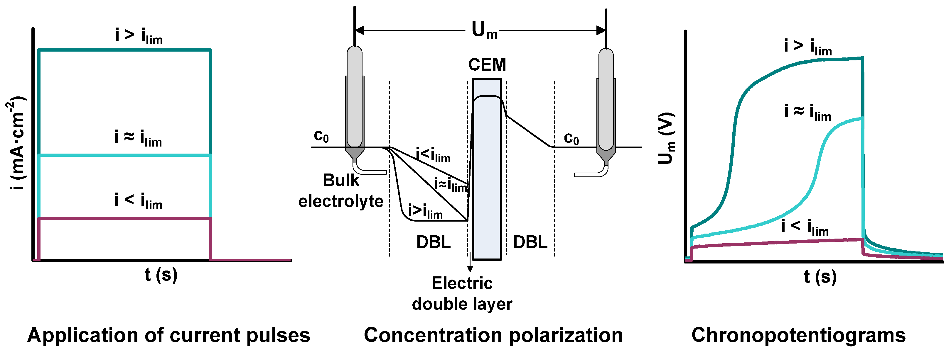 Applsci 08 01566 g001