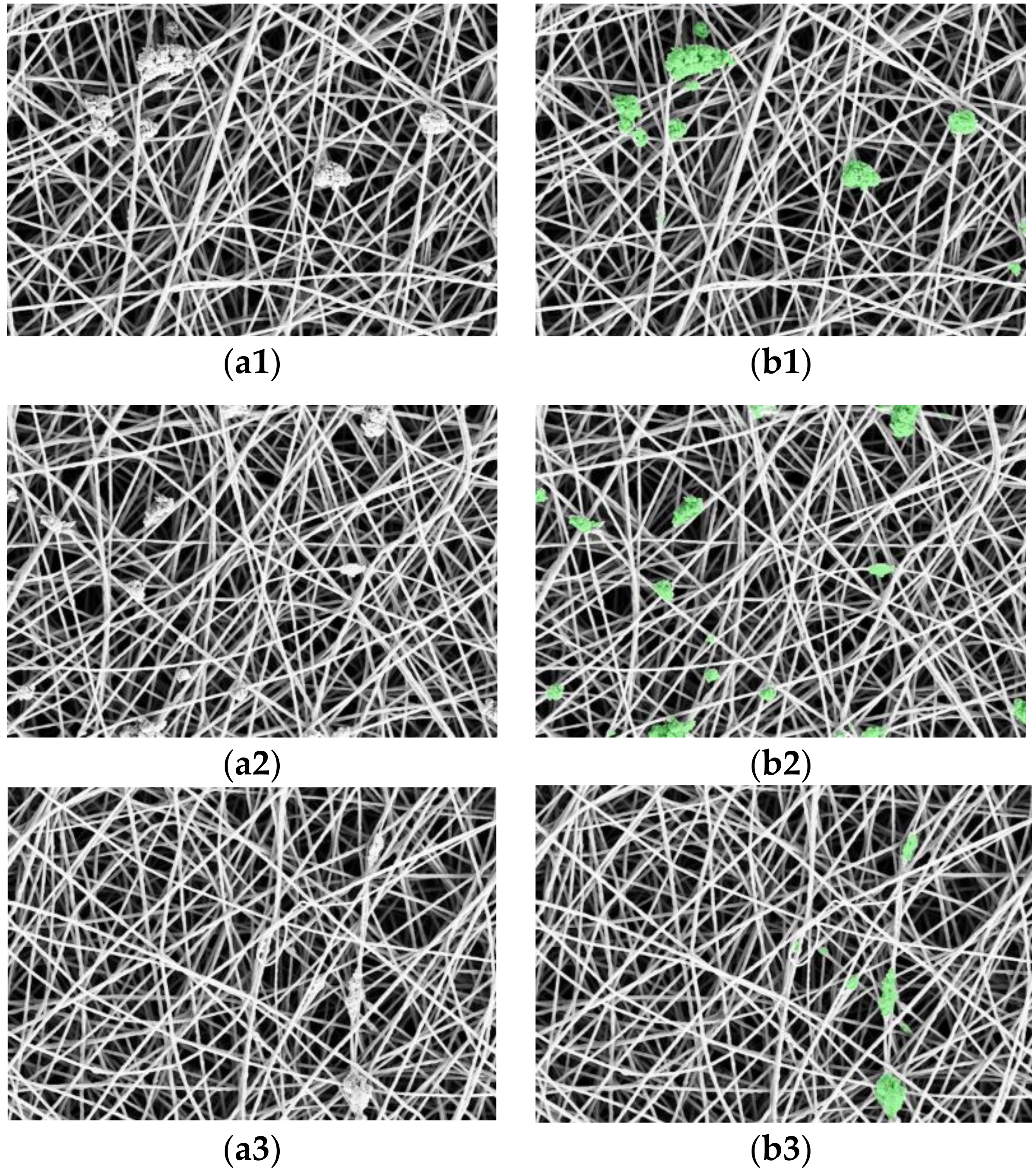 Applsci 08 01575 g008