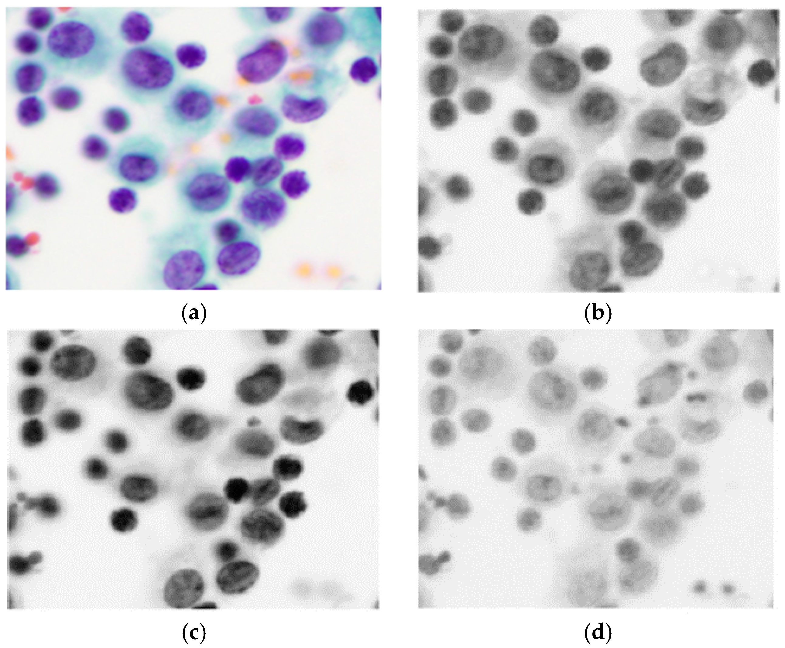 Applsci 08 01608 g005