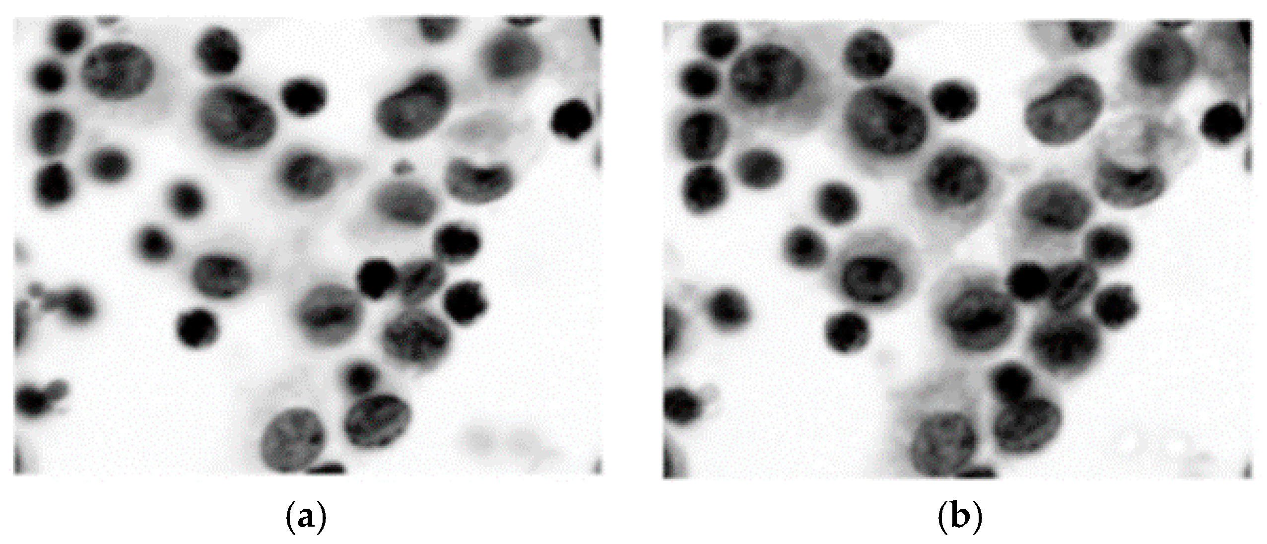 Applsci 08 01608 g006