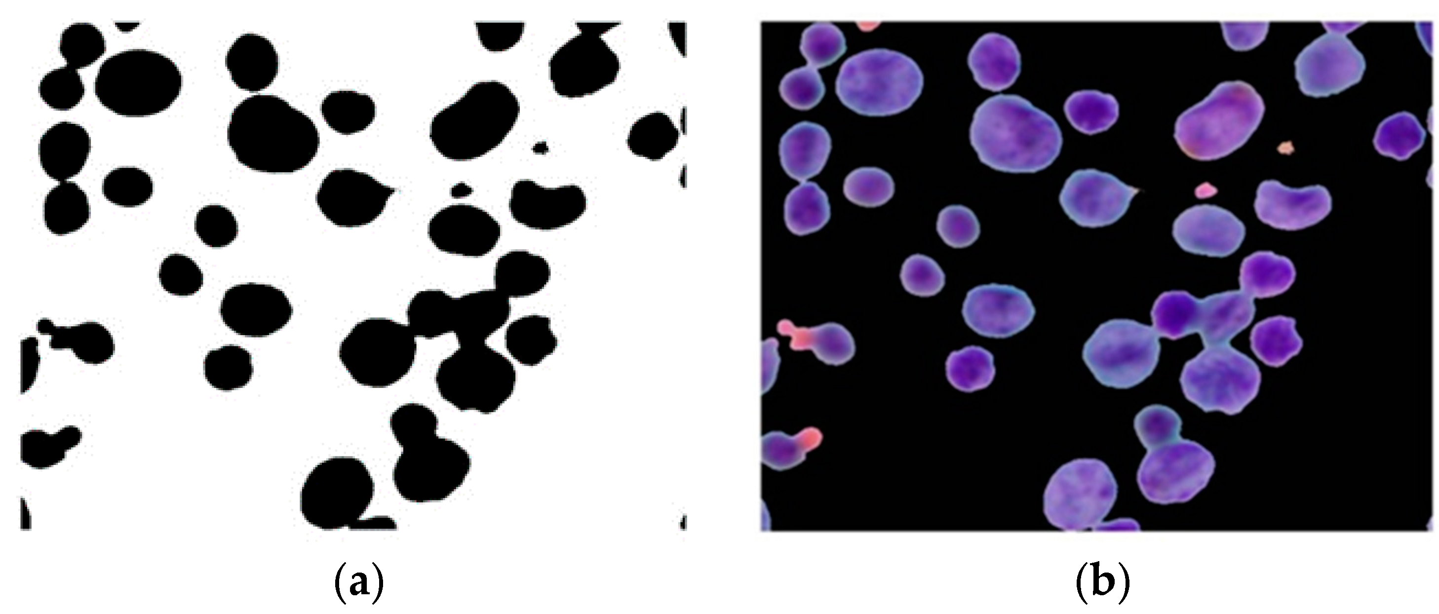 Applsci 08 01608 g008