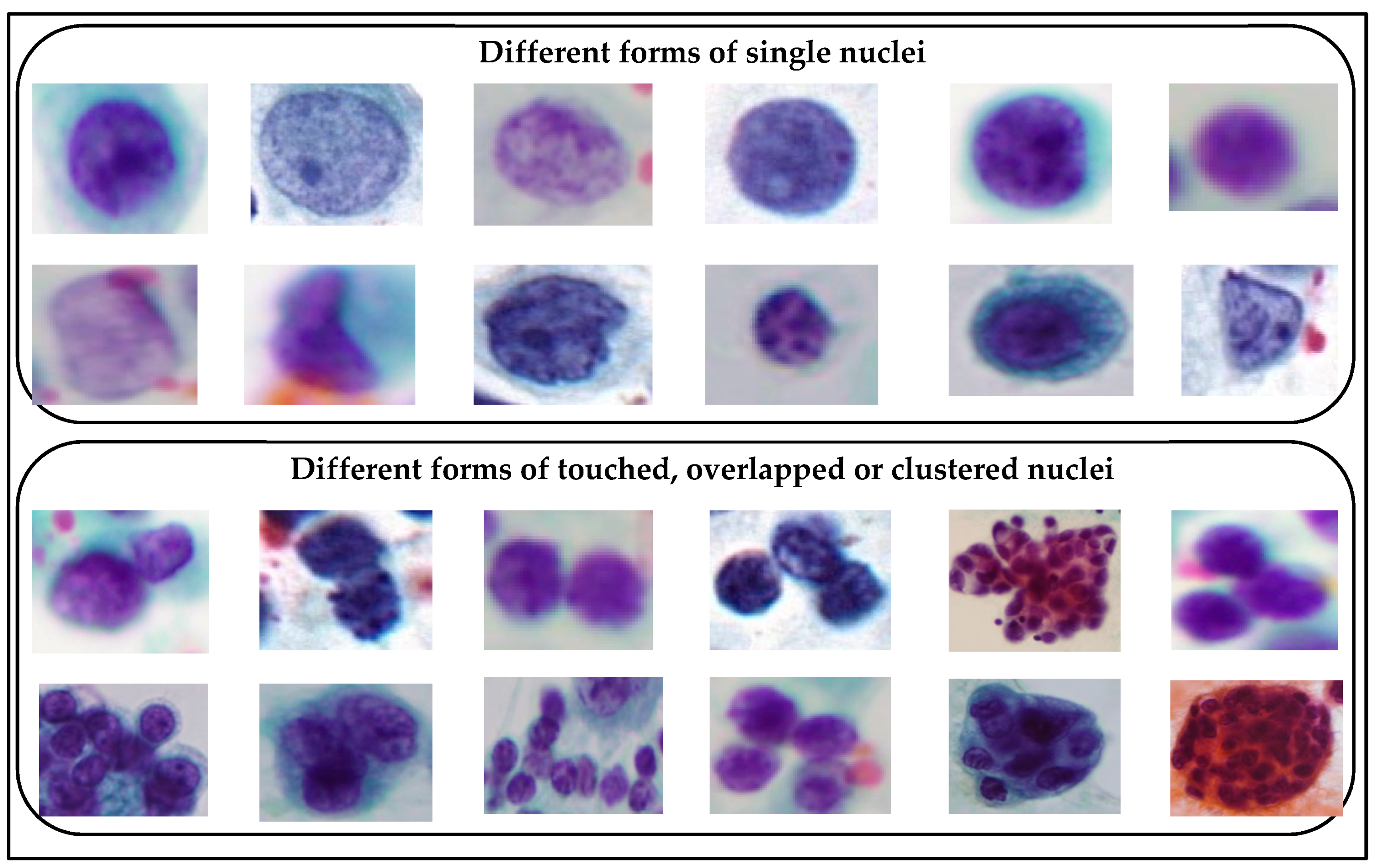 Applsci 08 01608 g010