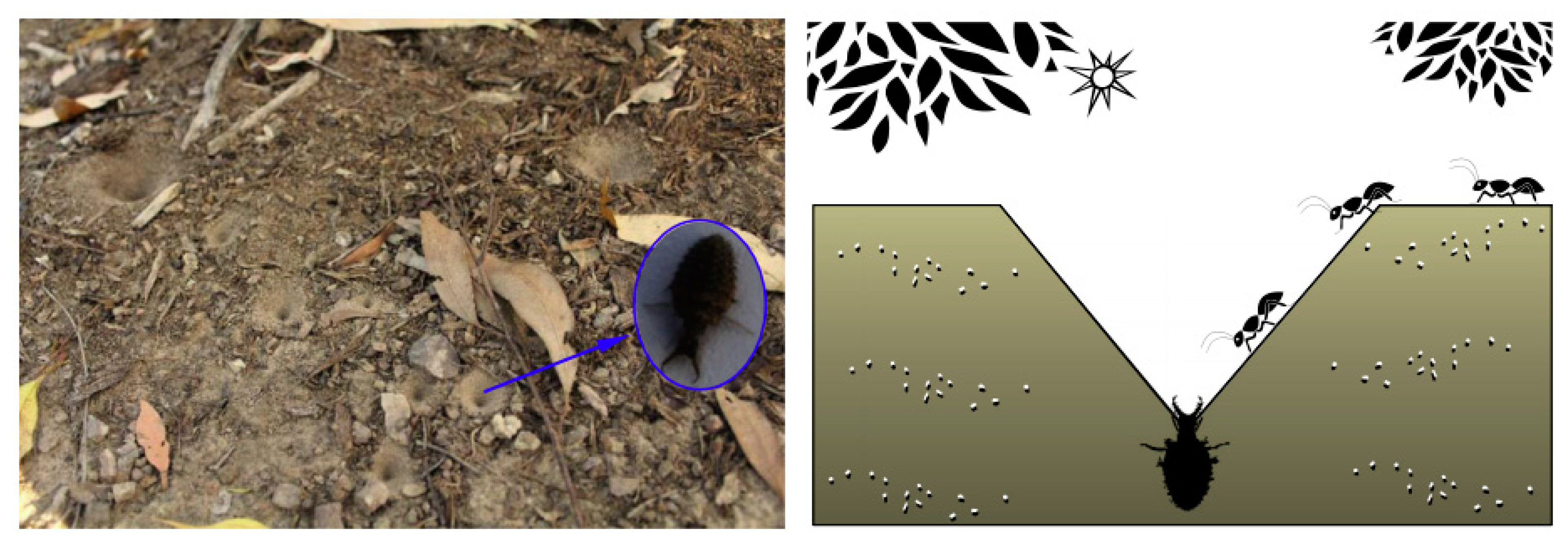 Applsci 08 01613 g002