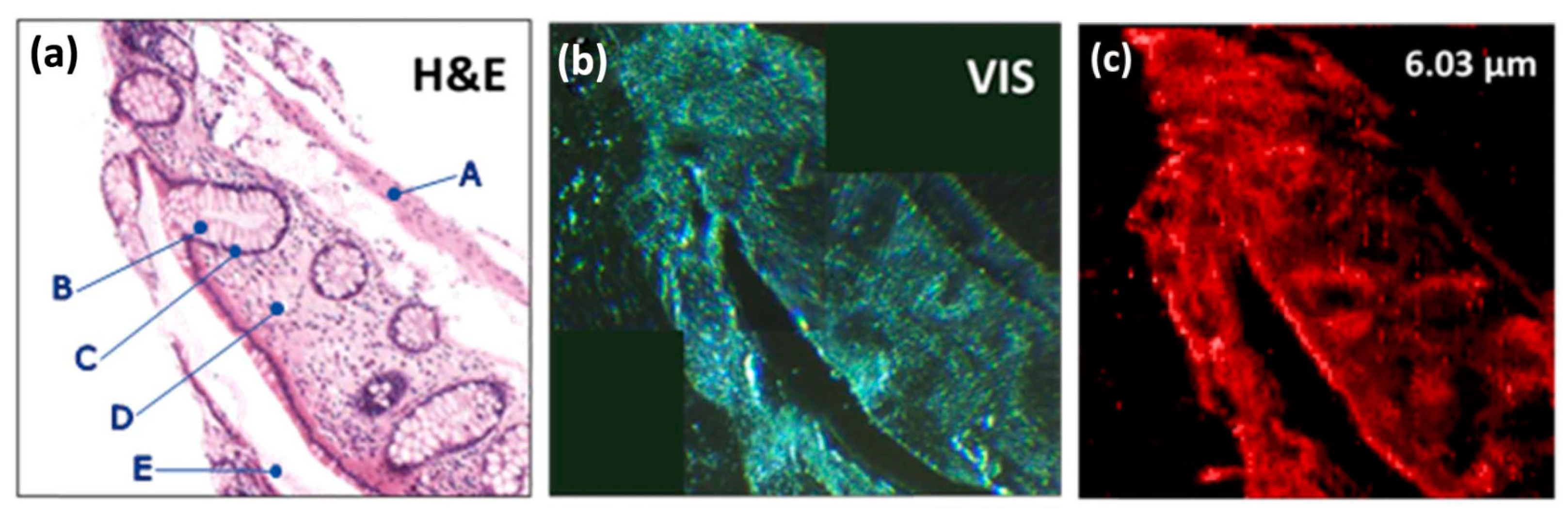 Applsci 08 01637 g009