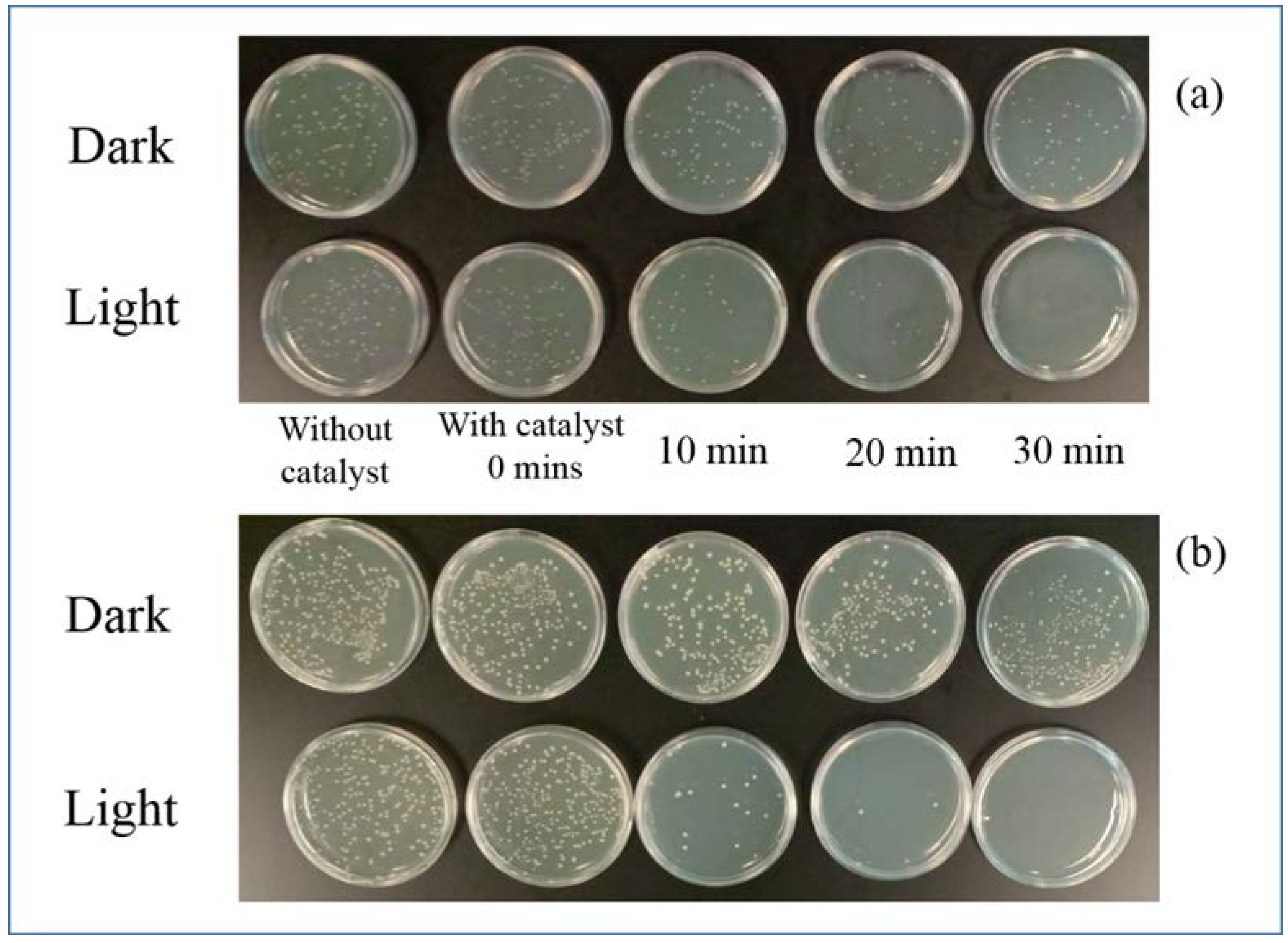 Applsci 08 02067 g011