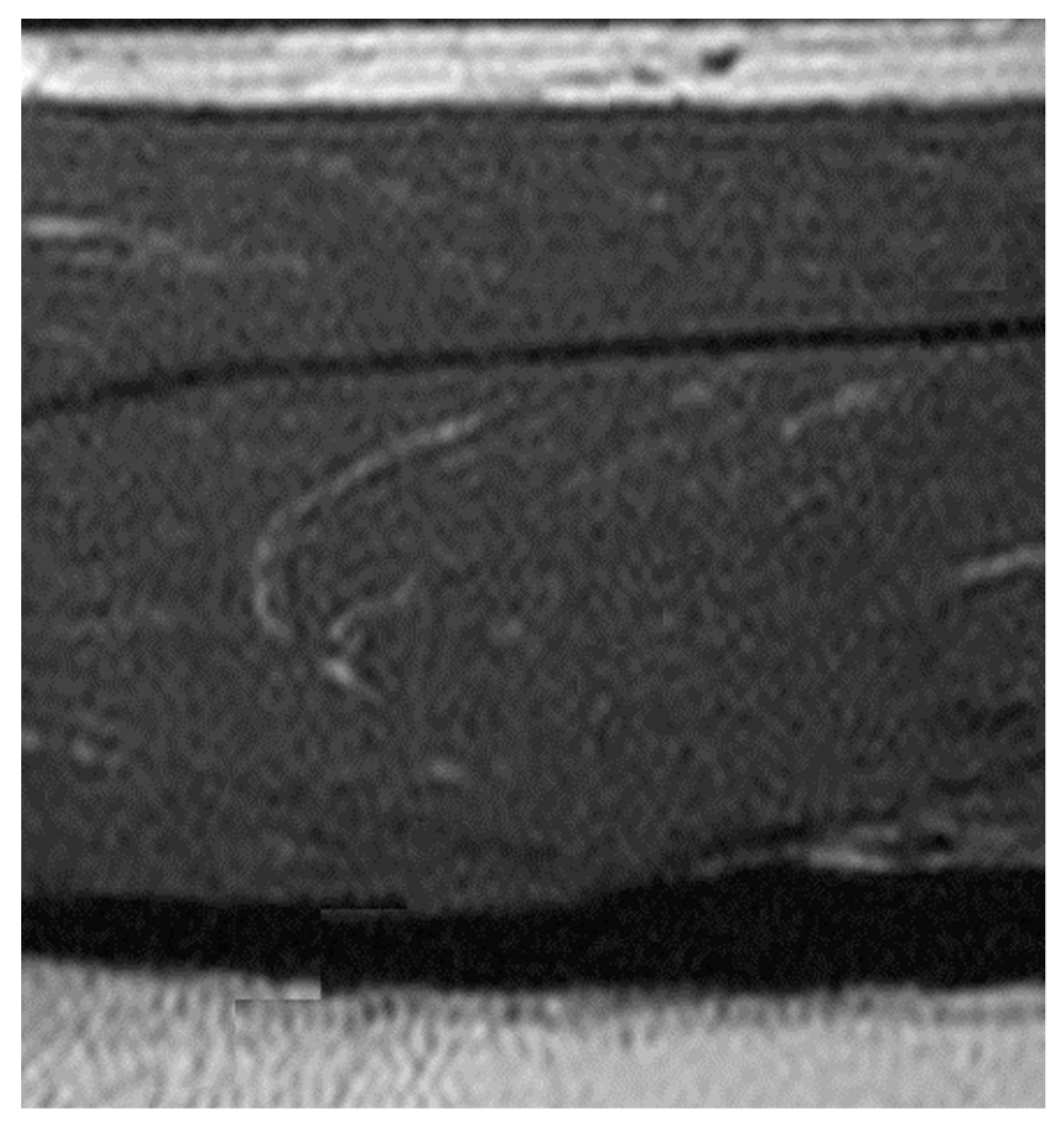 Applsci 08 02133 g005