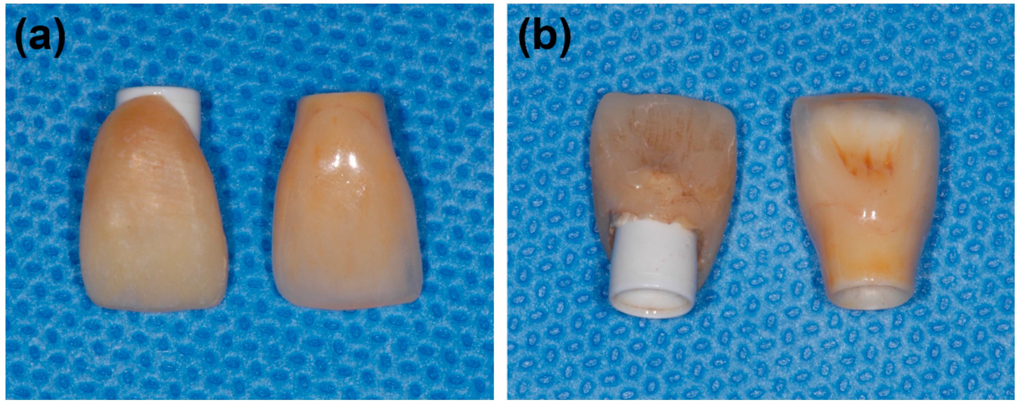 Applsci 08 02261 g001