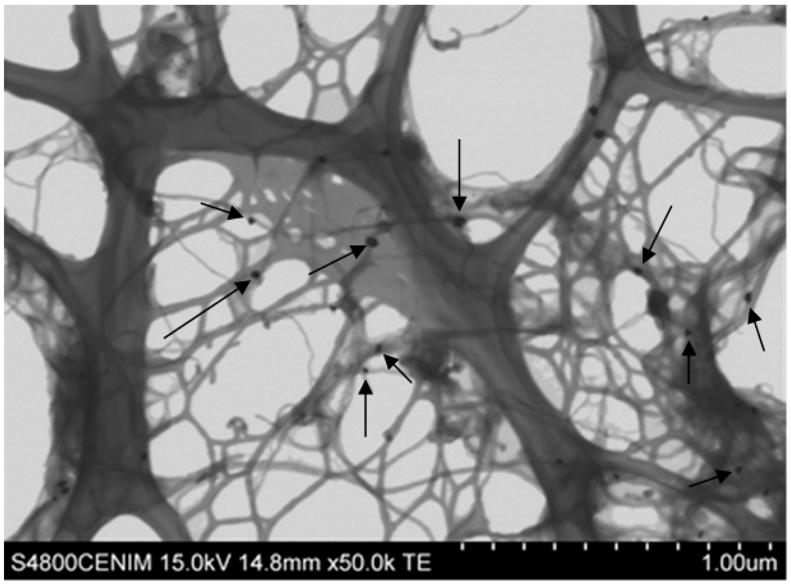 Applsci 08 02264 g002