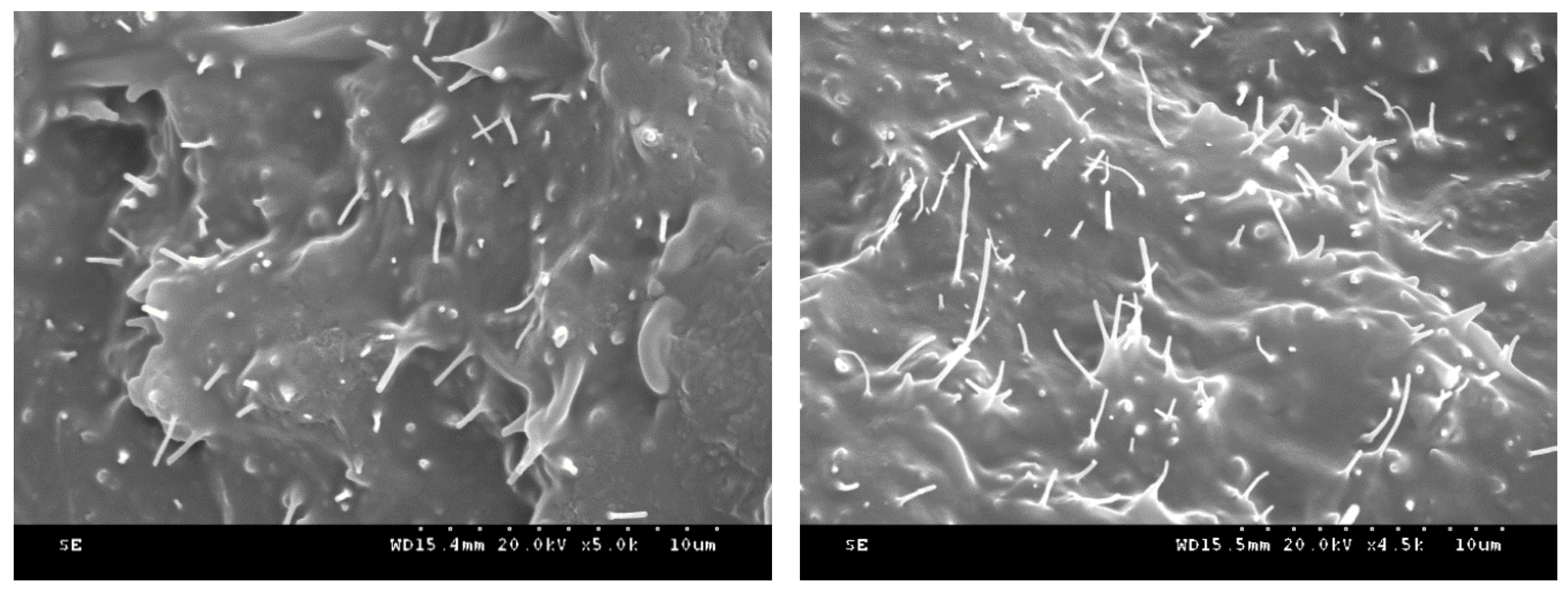 Applsci 08 02375 g009