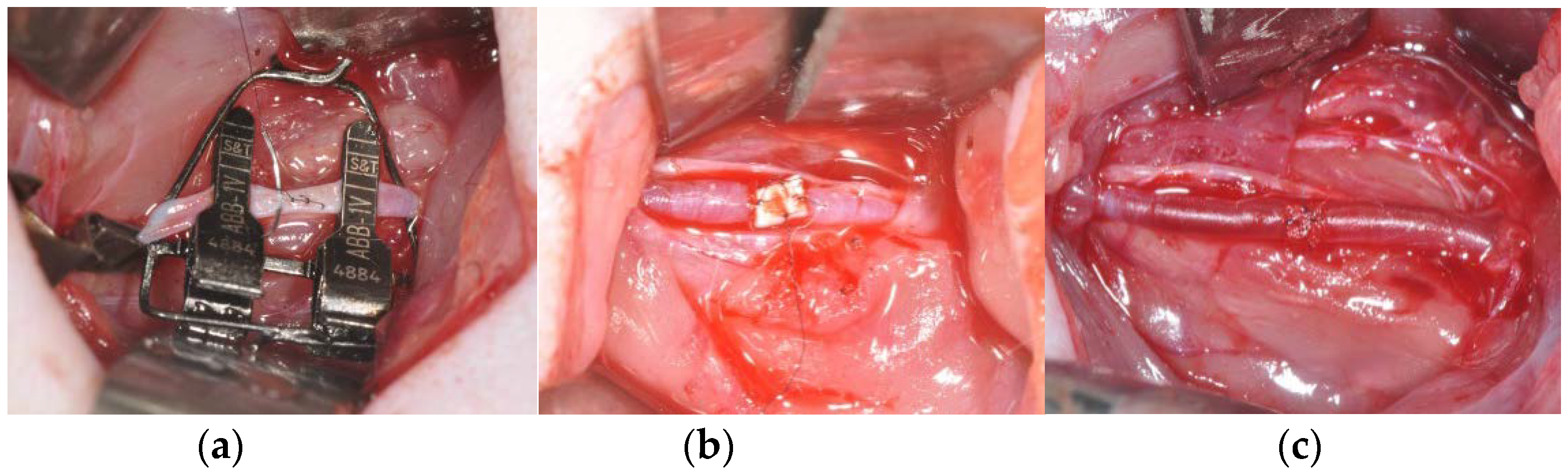 Applsci 08 02388 g004