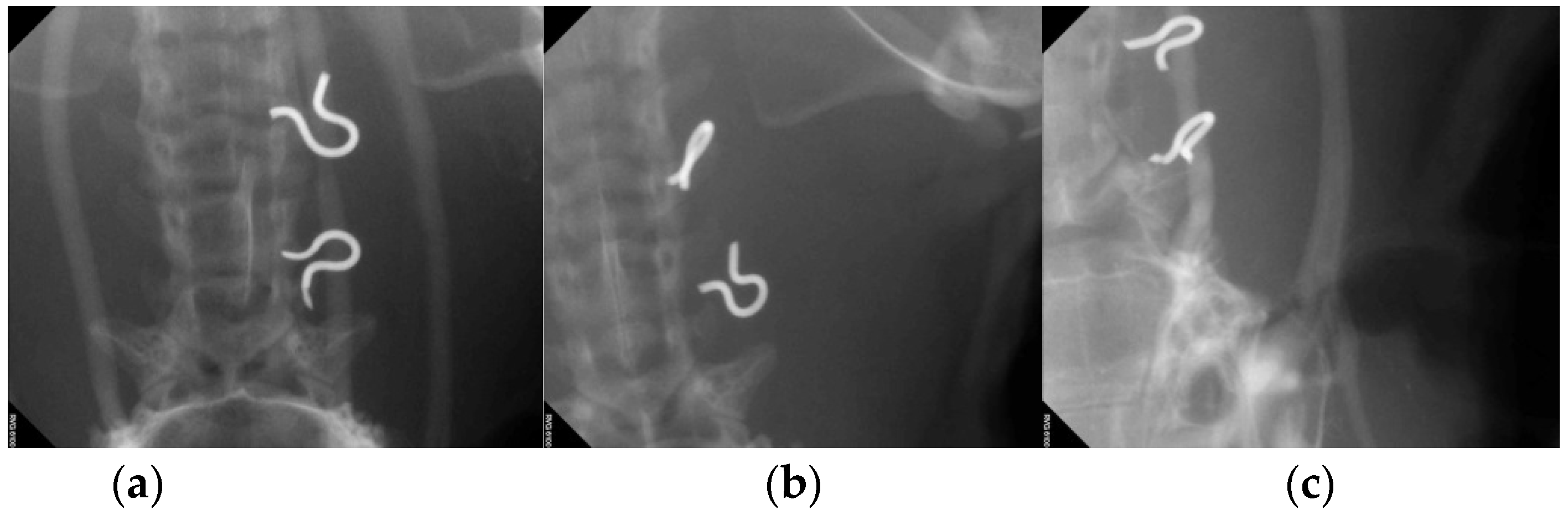 Applsci 08 02388 g005