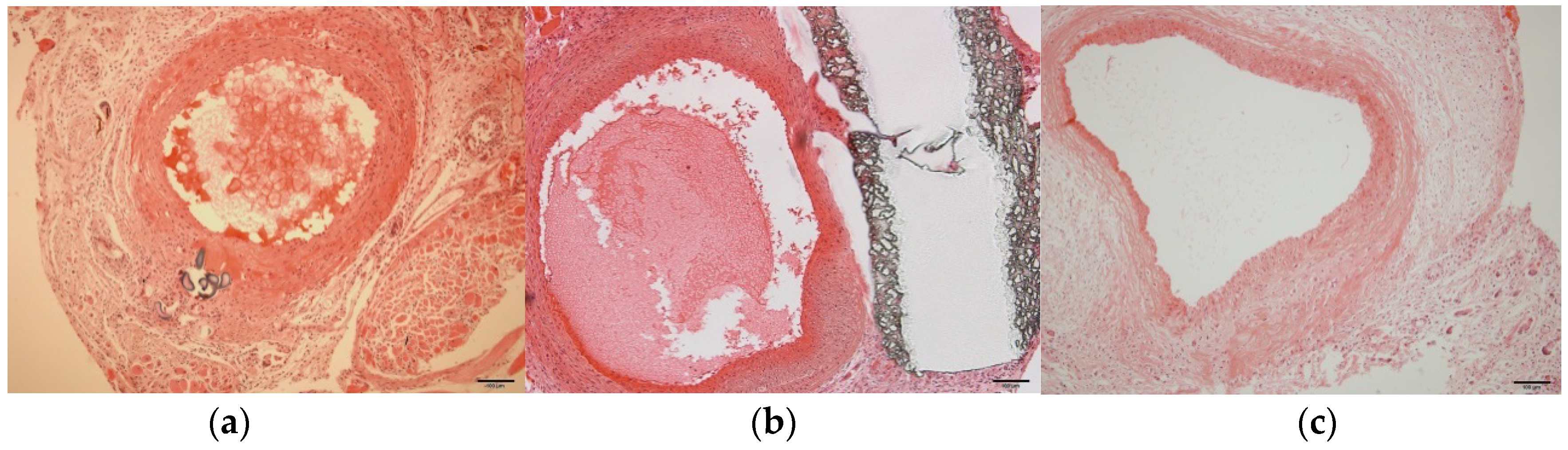Applsci 08 02388 g007
