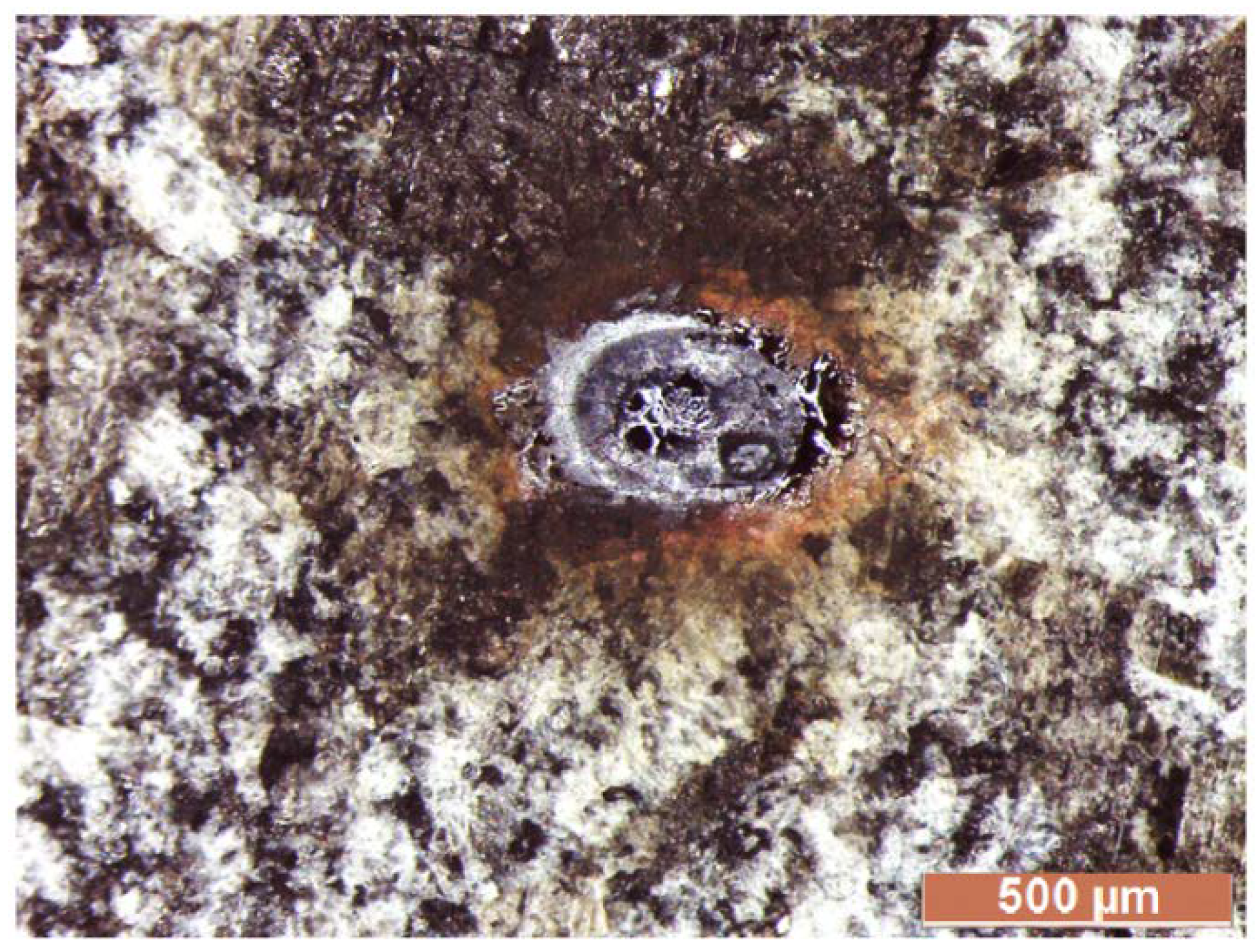 Applsci 08 02394 g009