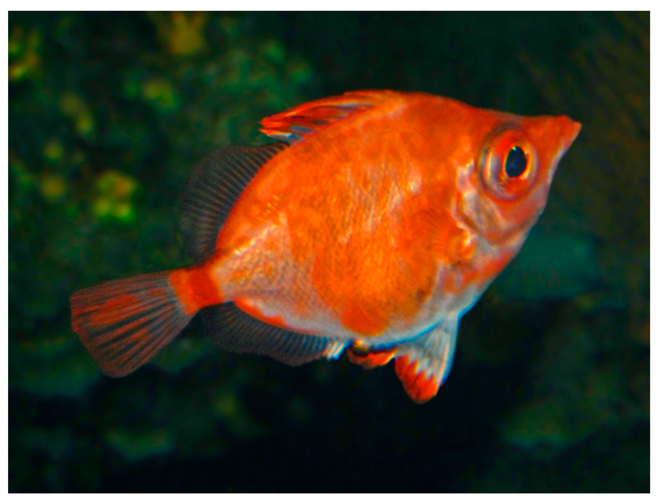 Applsci 08 02407 g001