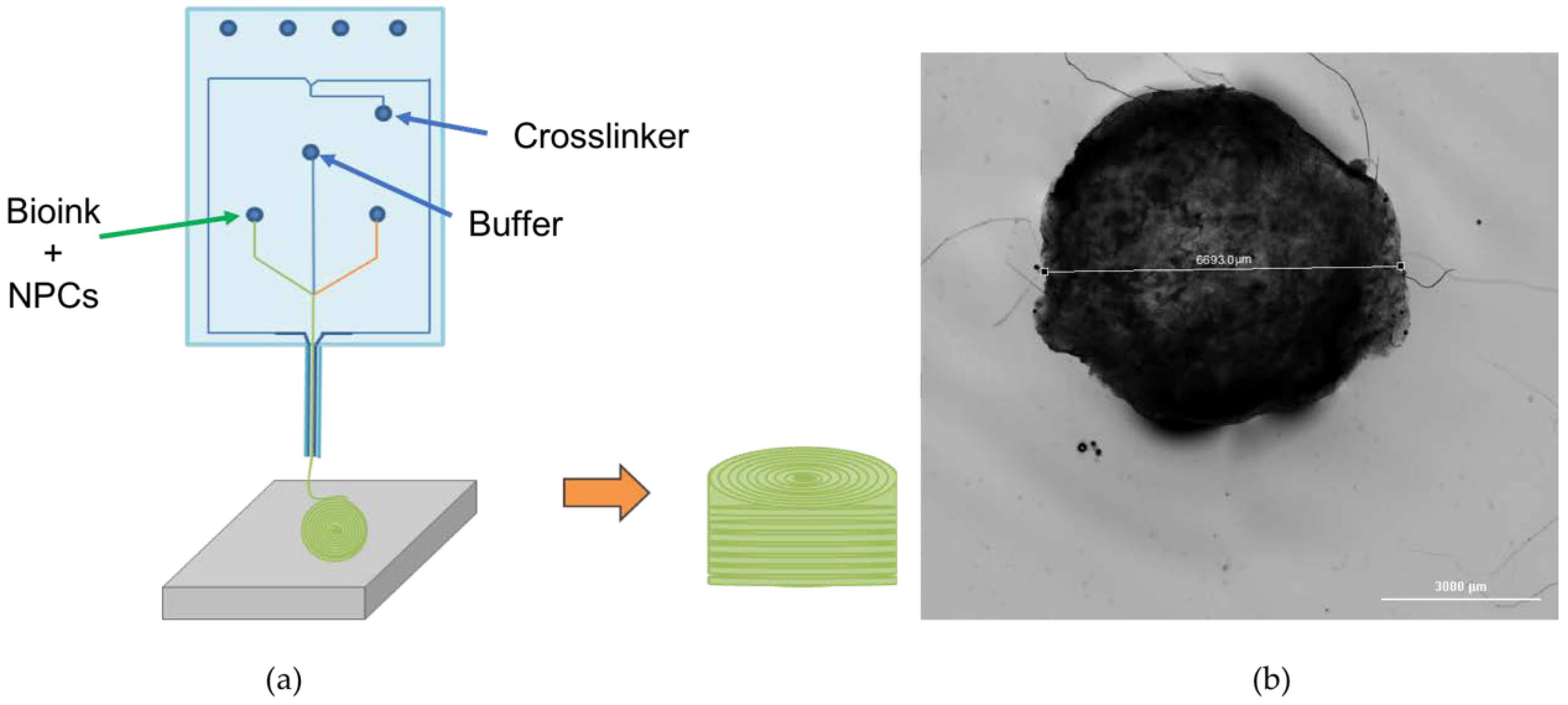 Applsci 08 02414 g001