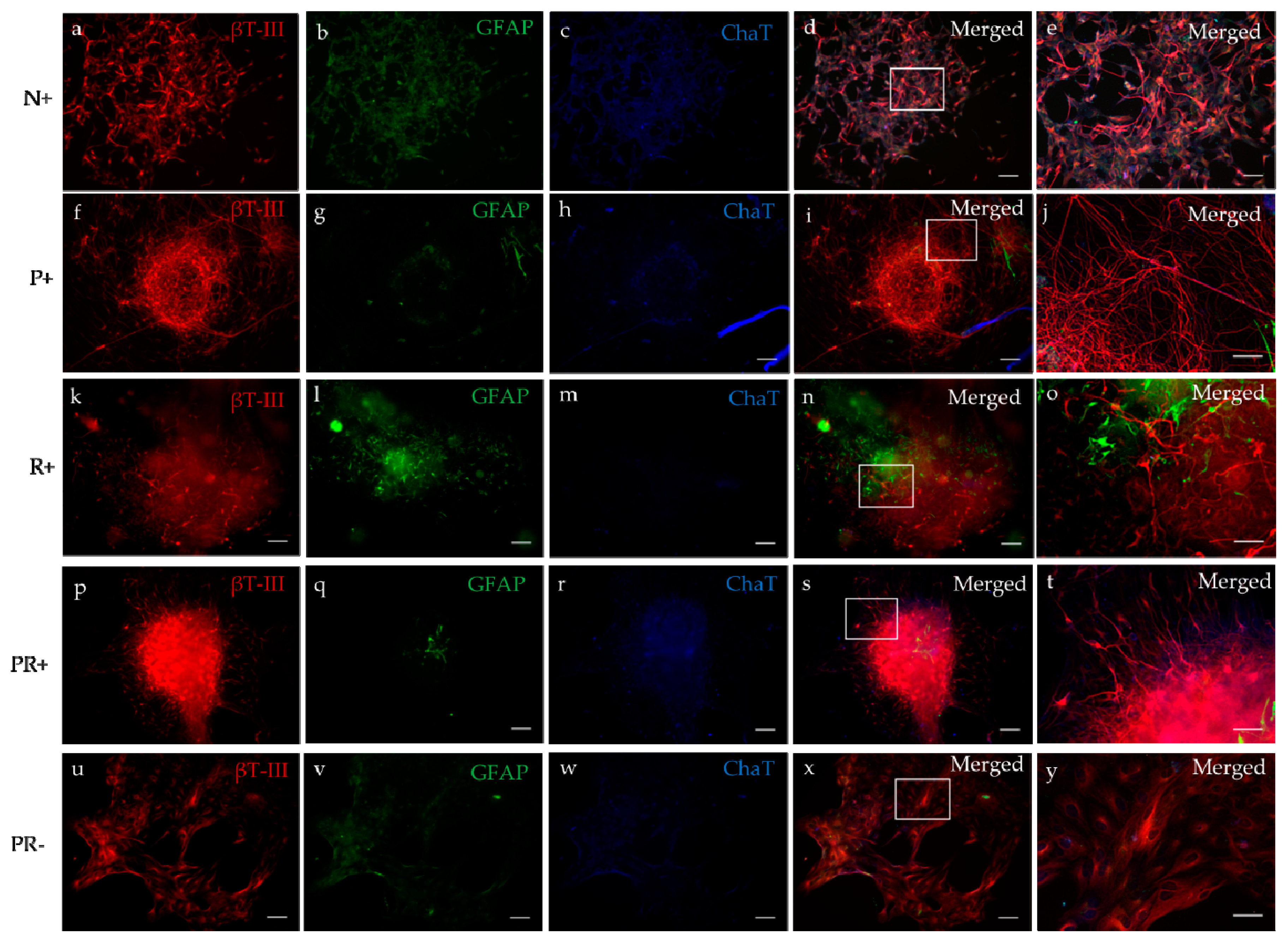 Applsci 08 02414 g005