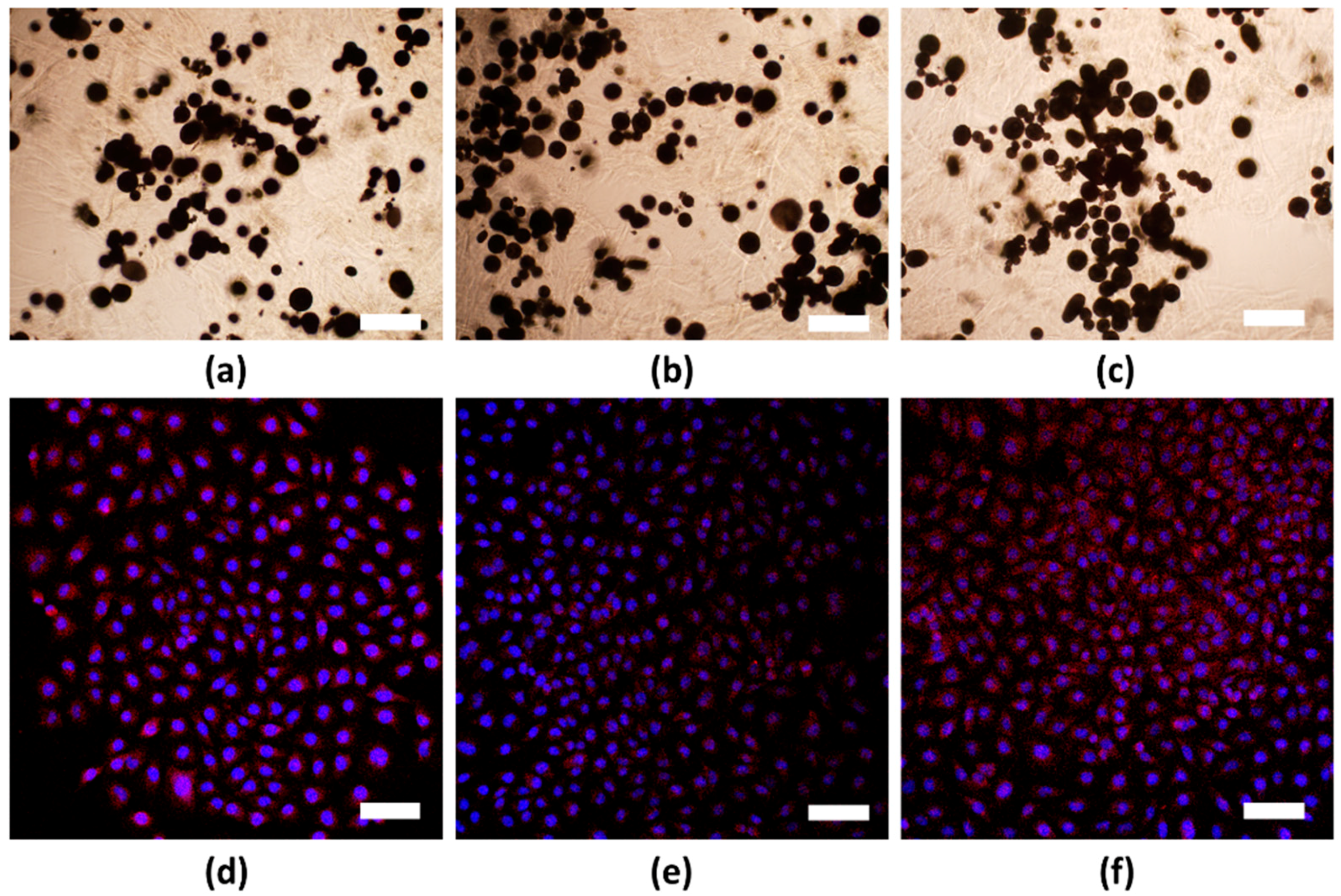 Applsci 08 02438 g002