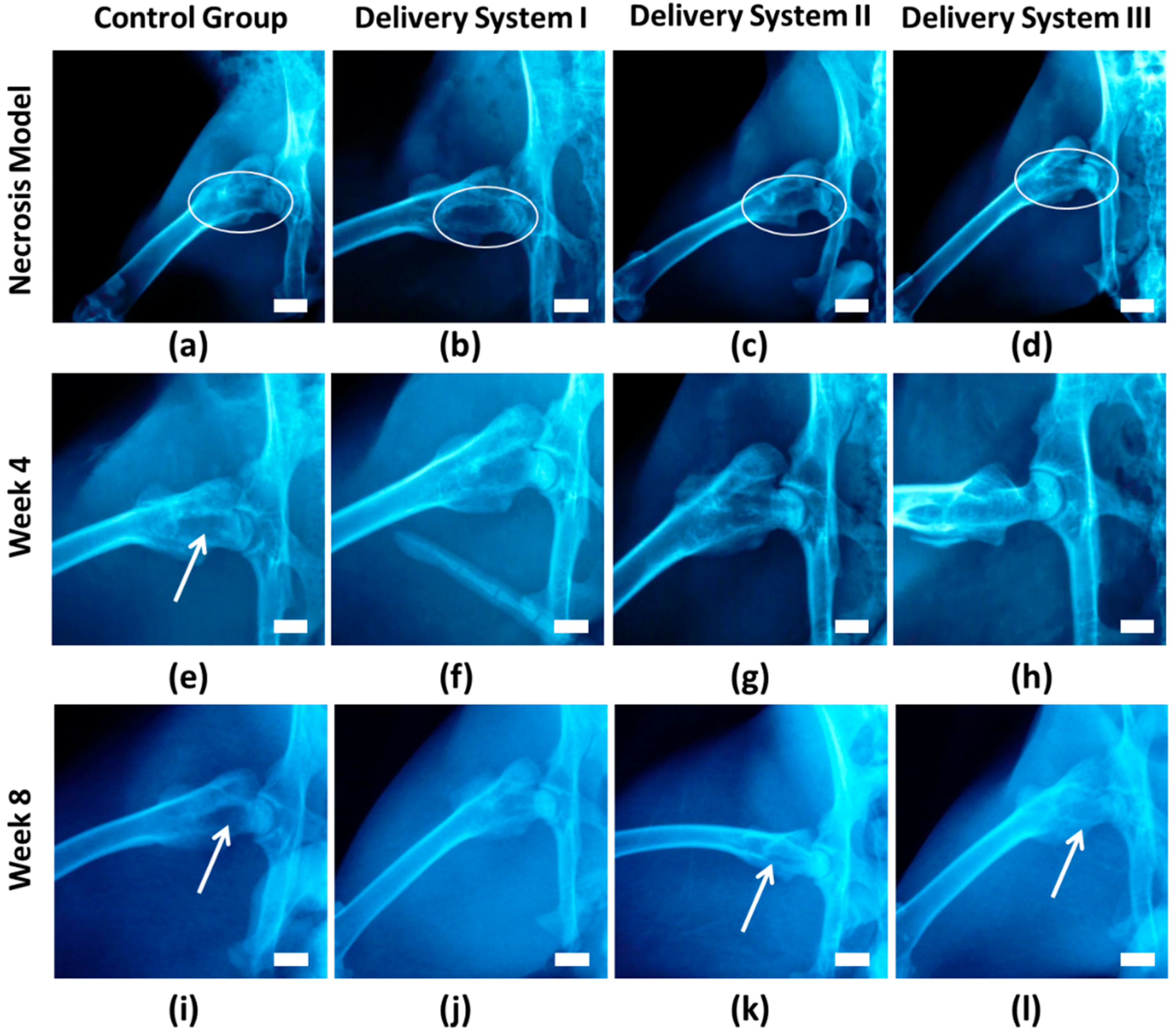 Applsci 08 02438 g003