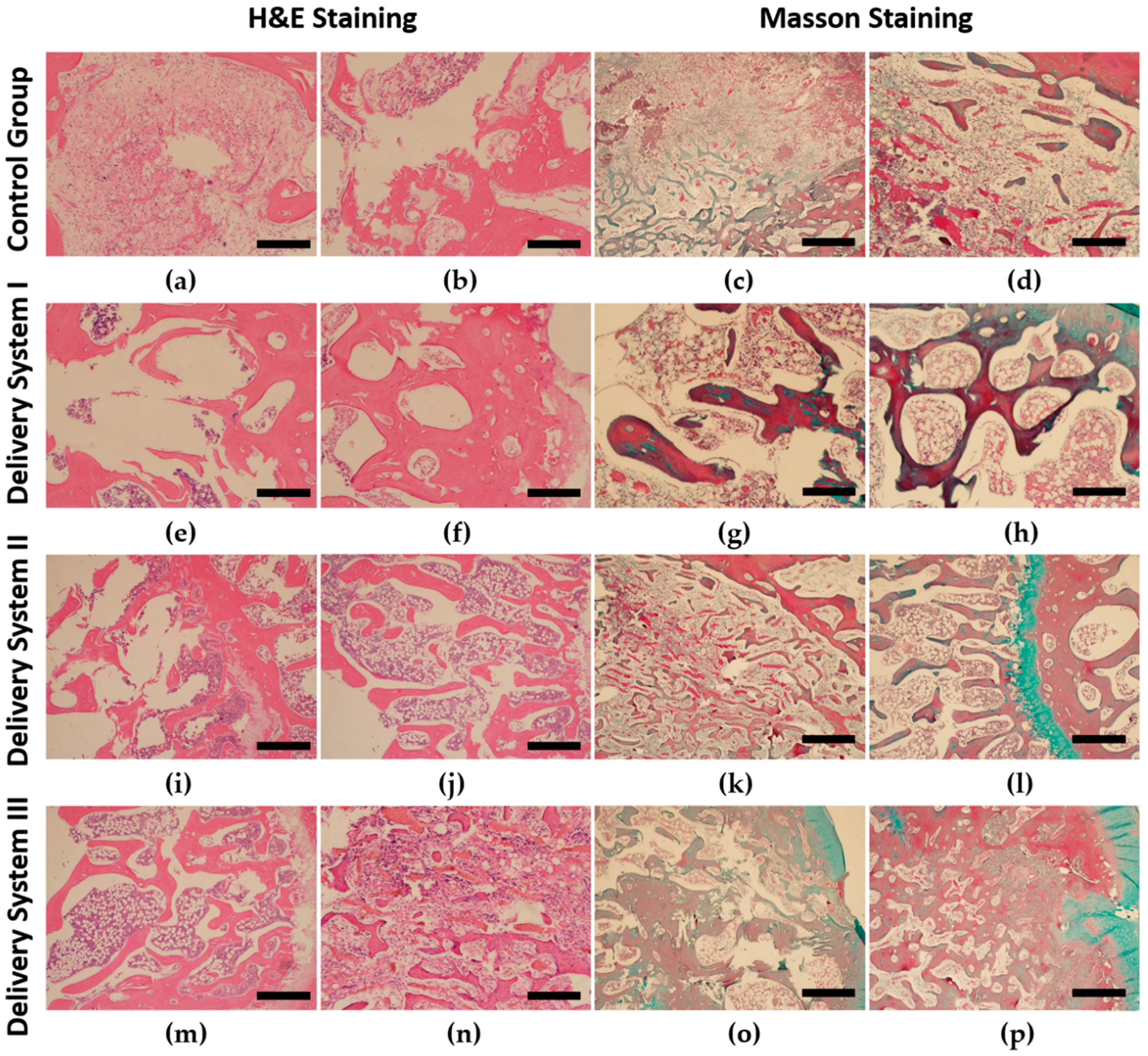 Applsci 08 02438 g004
