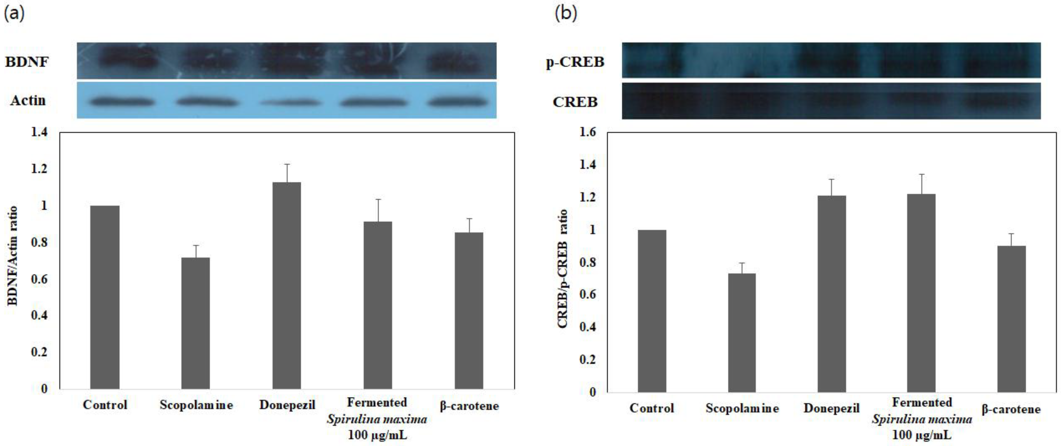 Applsci 08 02469 g006