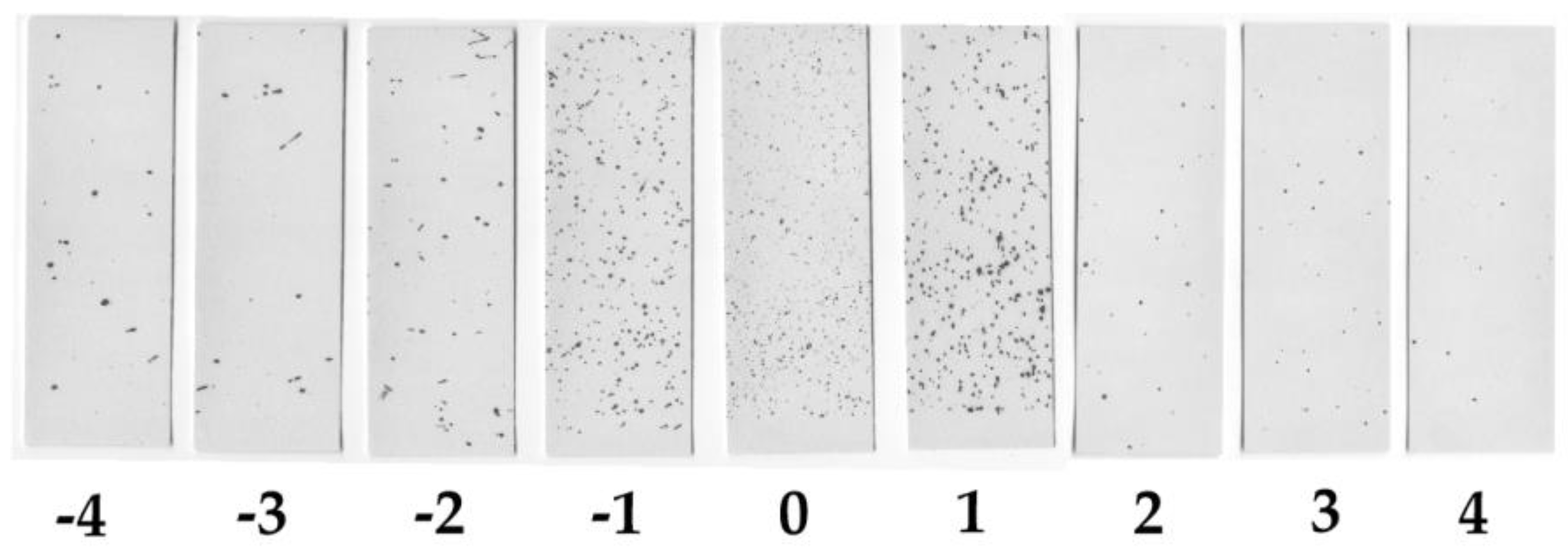 Applsci 08 02482 g019