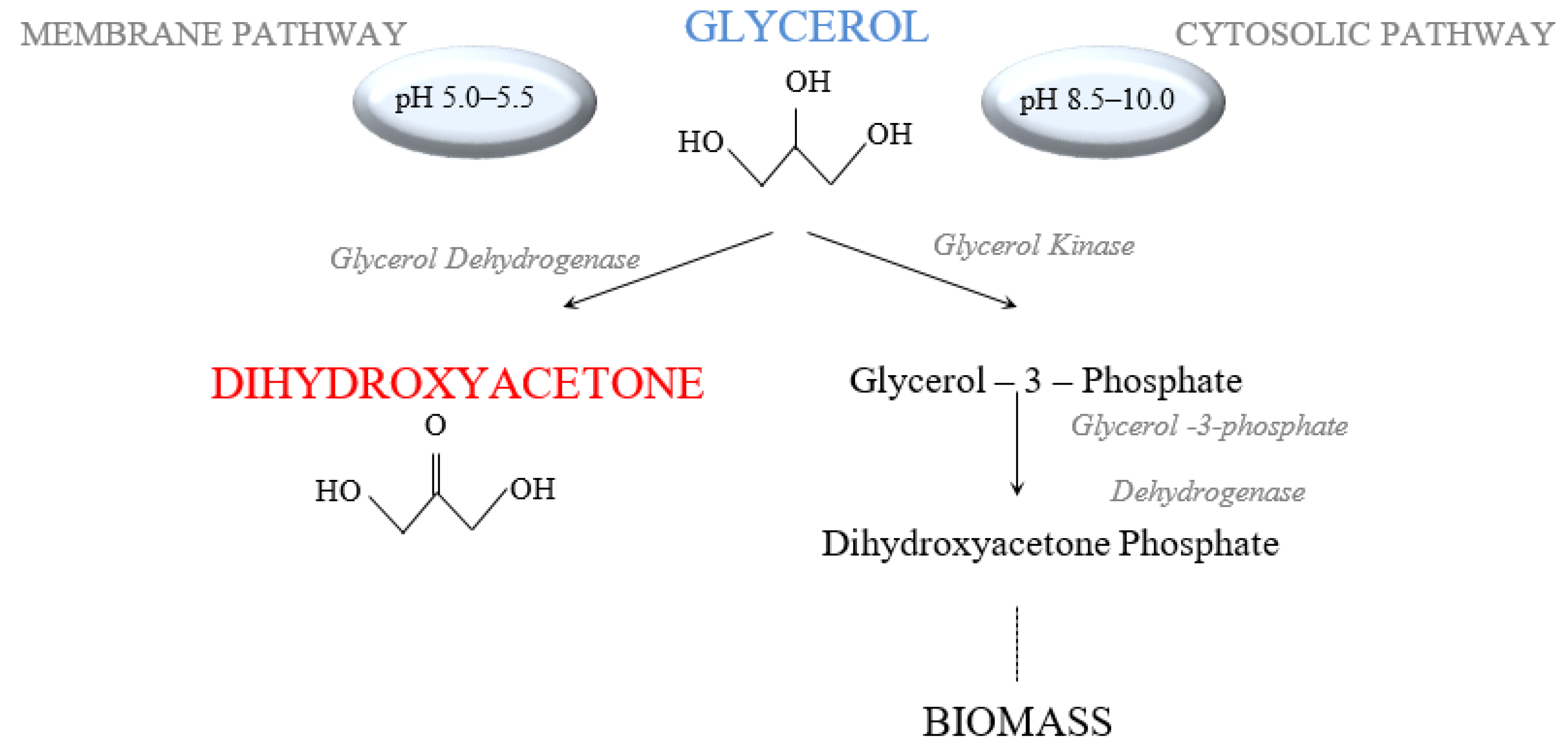 Applsci 08 02517 g001 Applsci 08 02517 g001