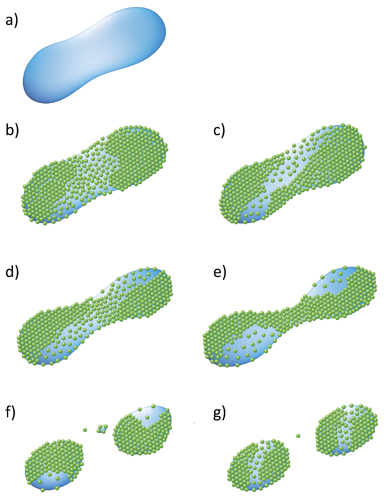 Applsci 08 02596 g006