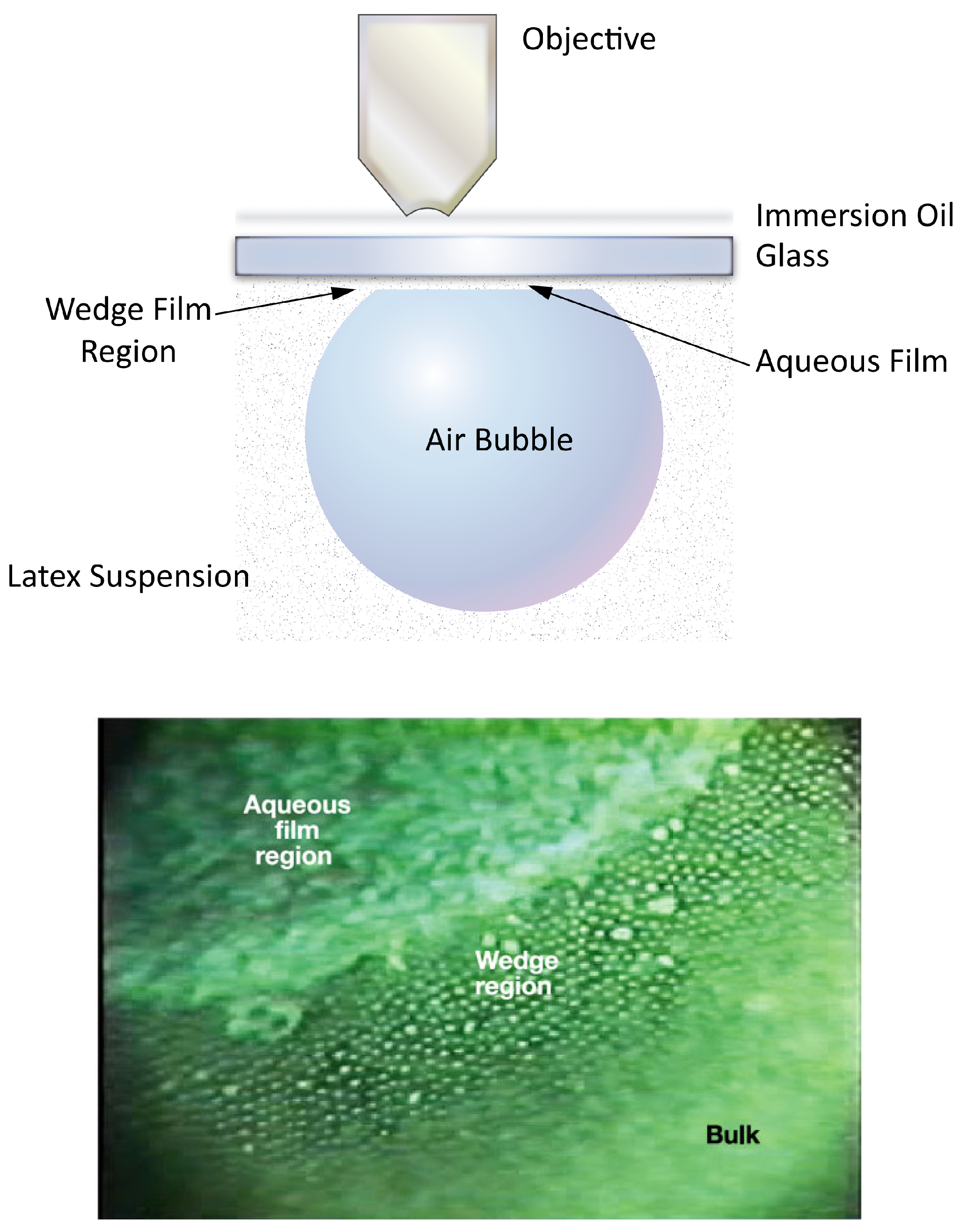 Applsci 08 02596 g009