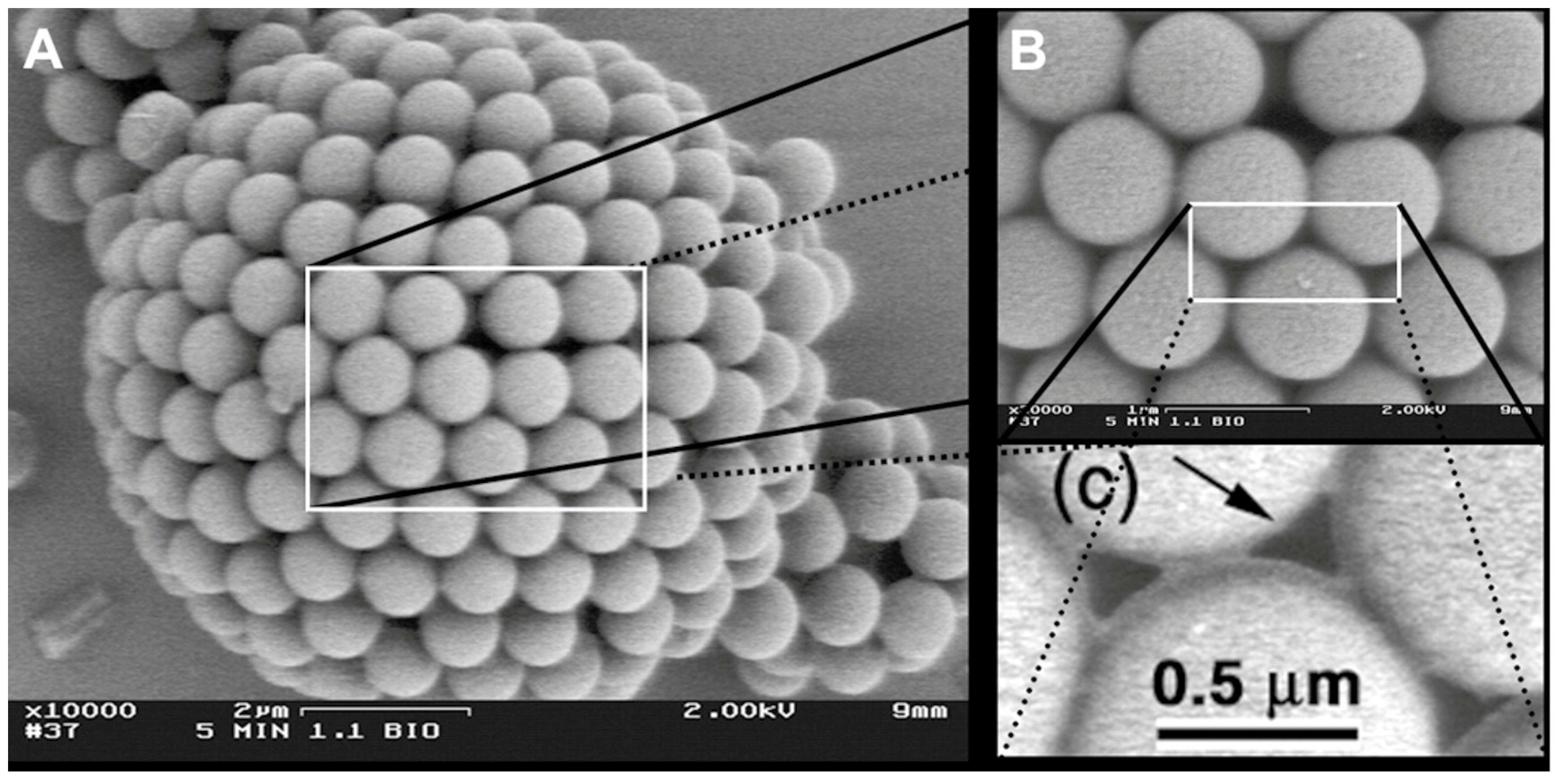 Applsci 08 02596 g016
