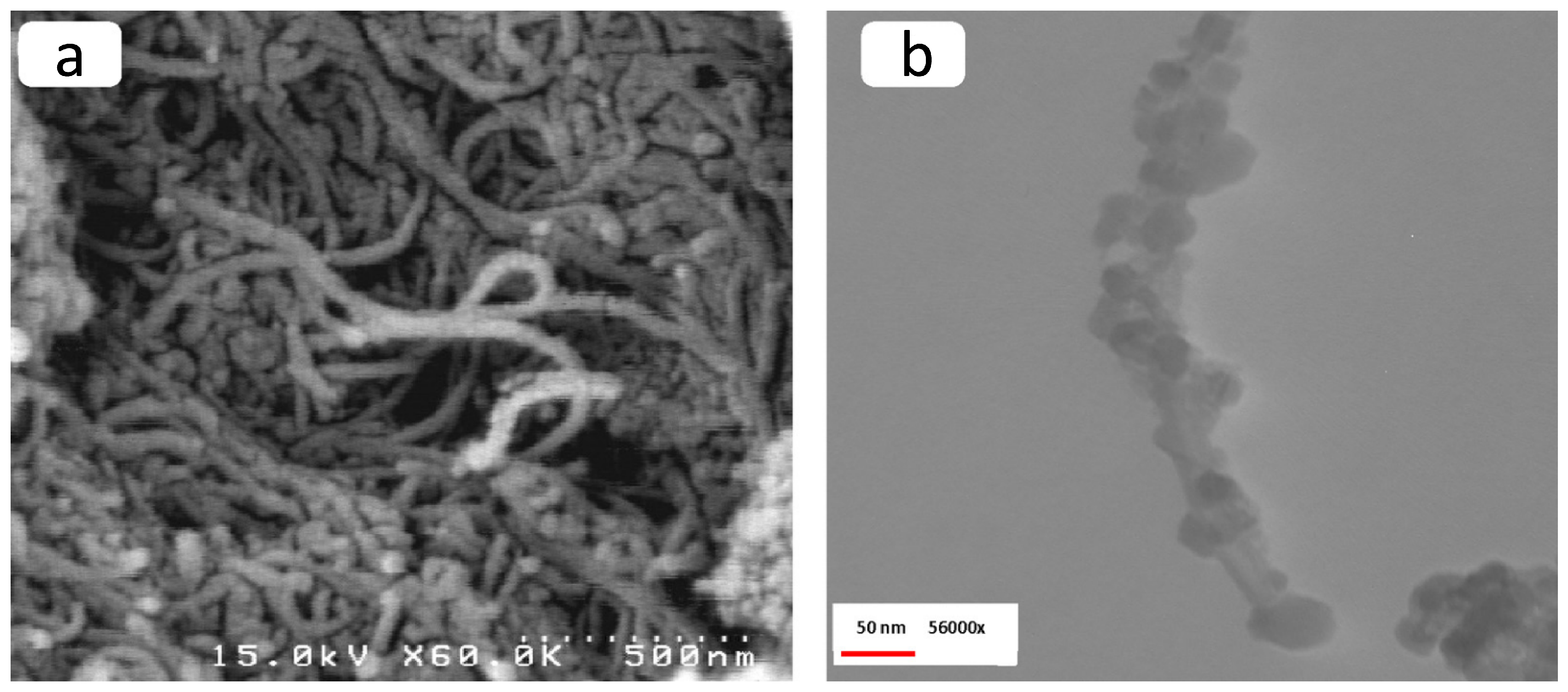 Applsci 08 02596 g019