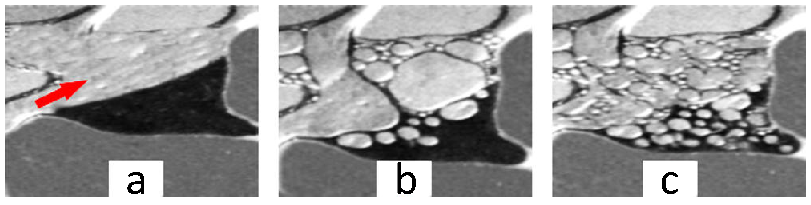 Applsci 08 02596 g022