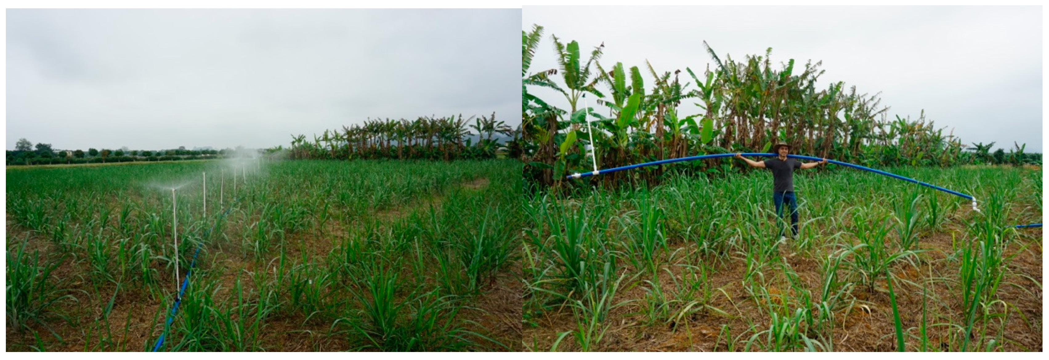 Applsci 08 02601 g002