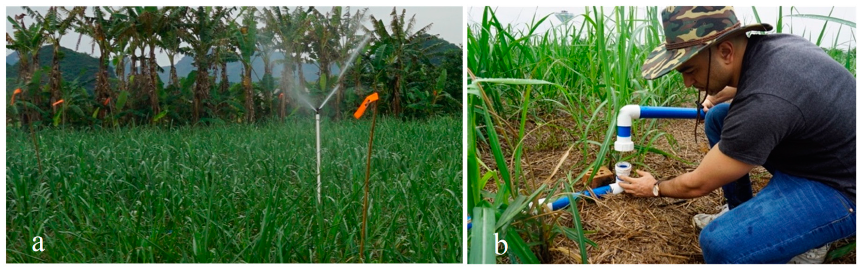 Applsci 08 02601 g004