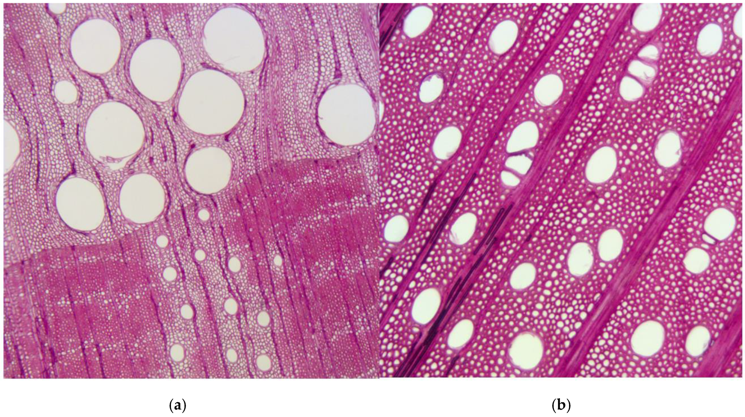 Applsci 08 02696 g002