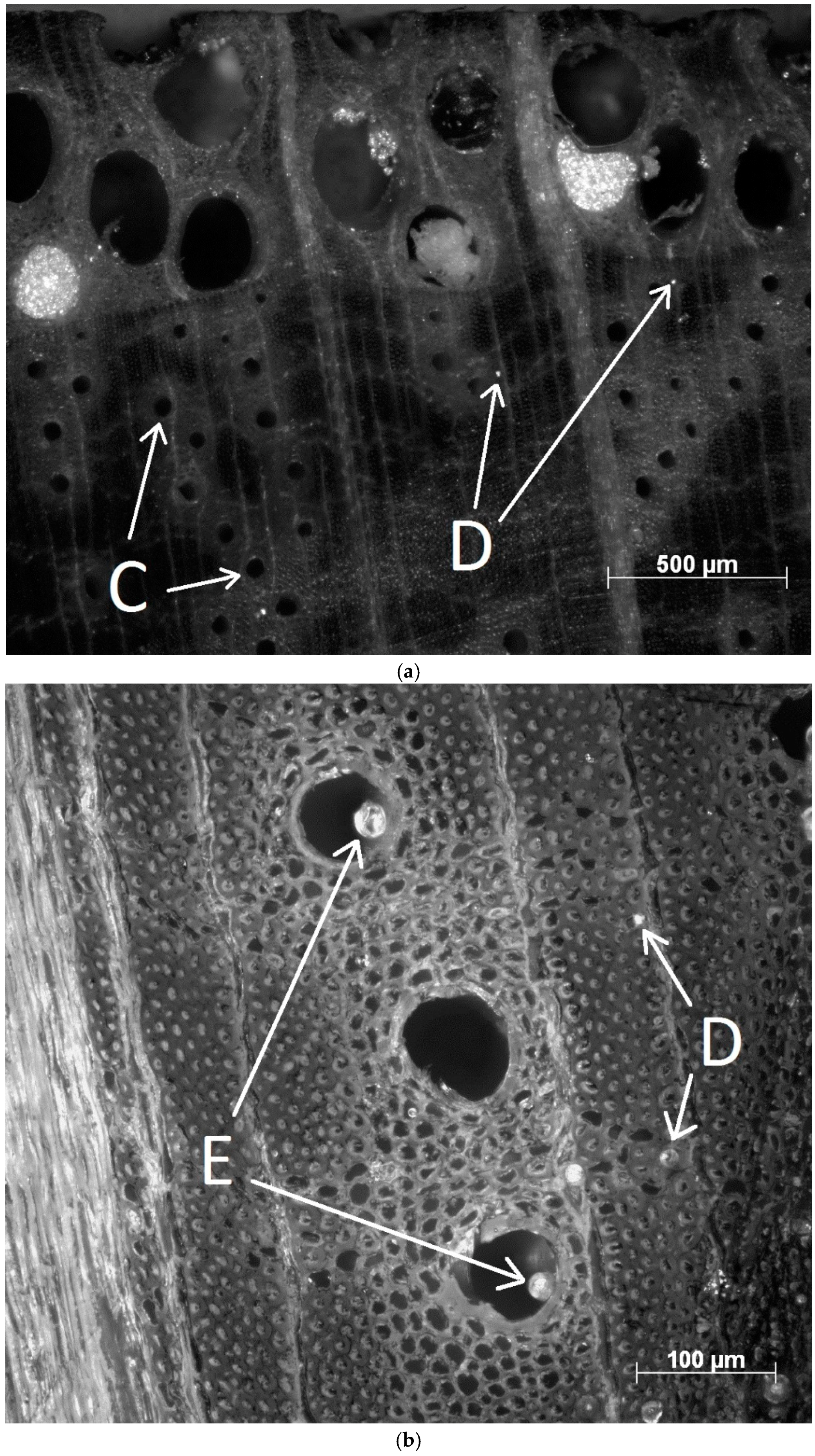 Applsci 08 02696 g008