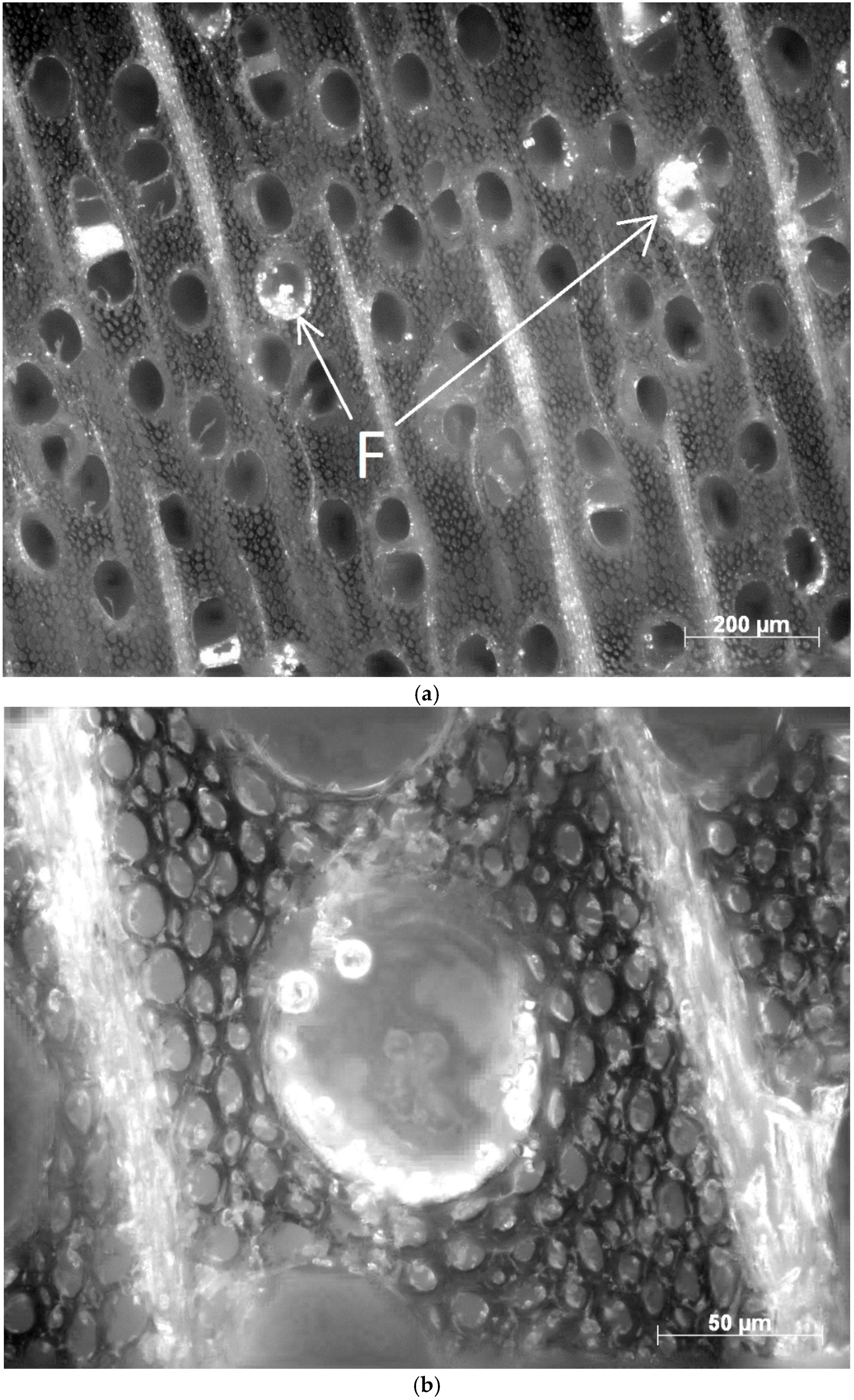 Applsci 08 02696 g009